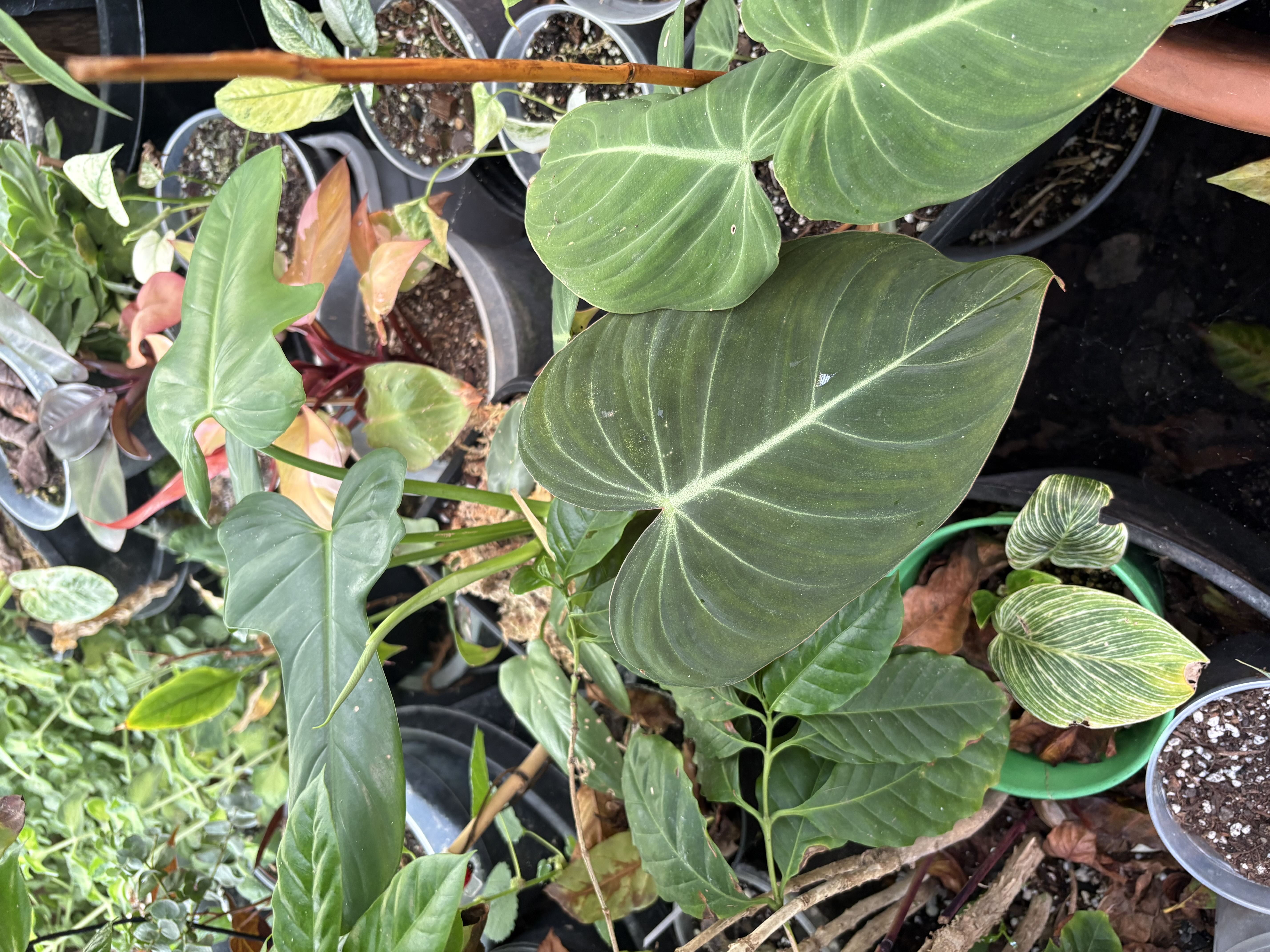 Photo from the post