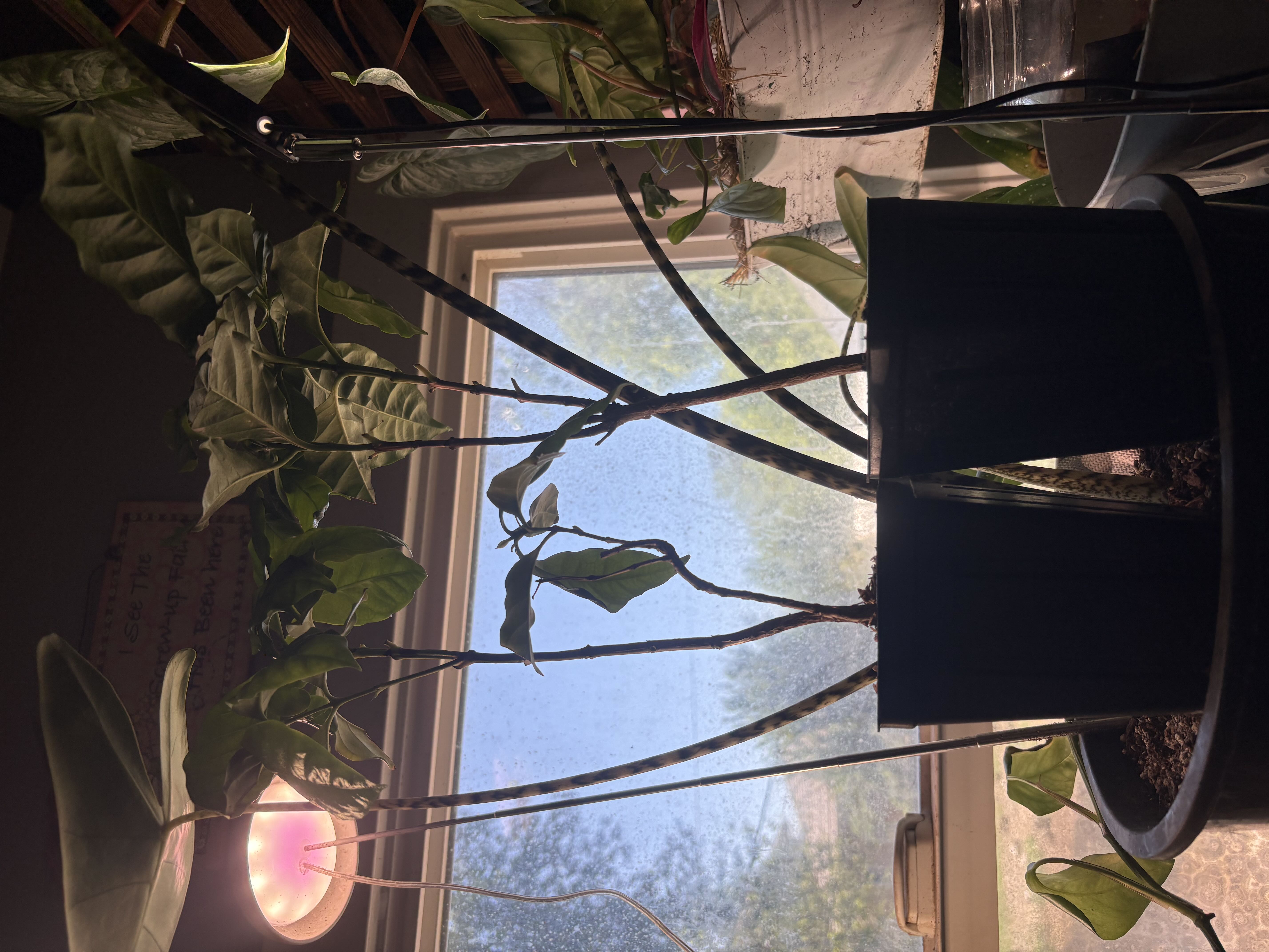Photo from the post