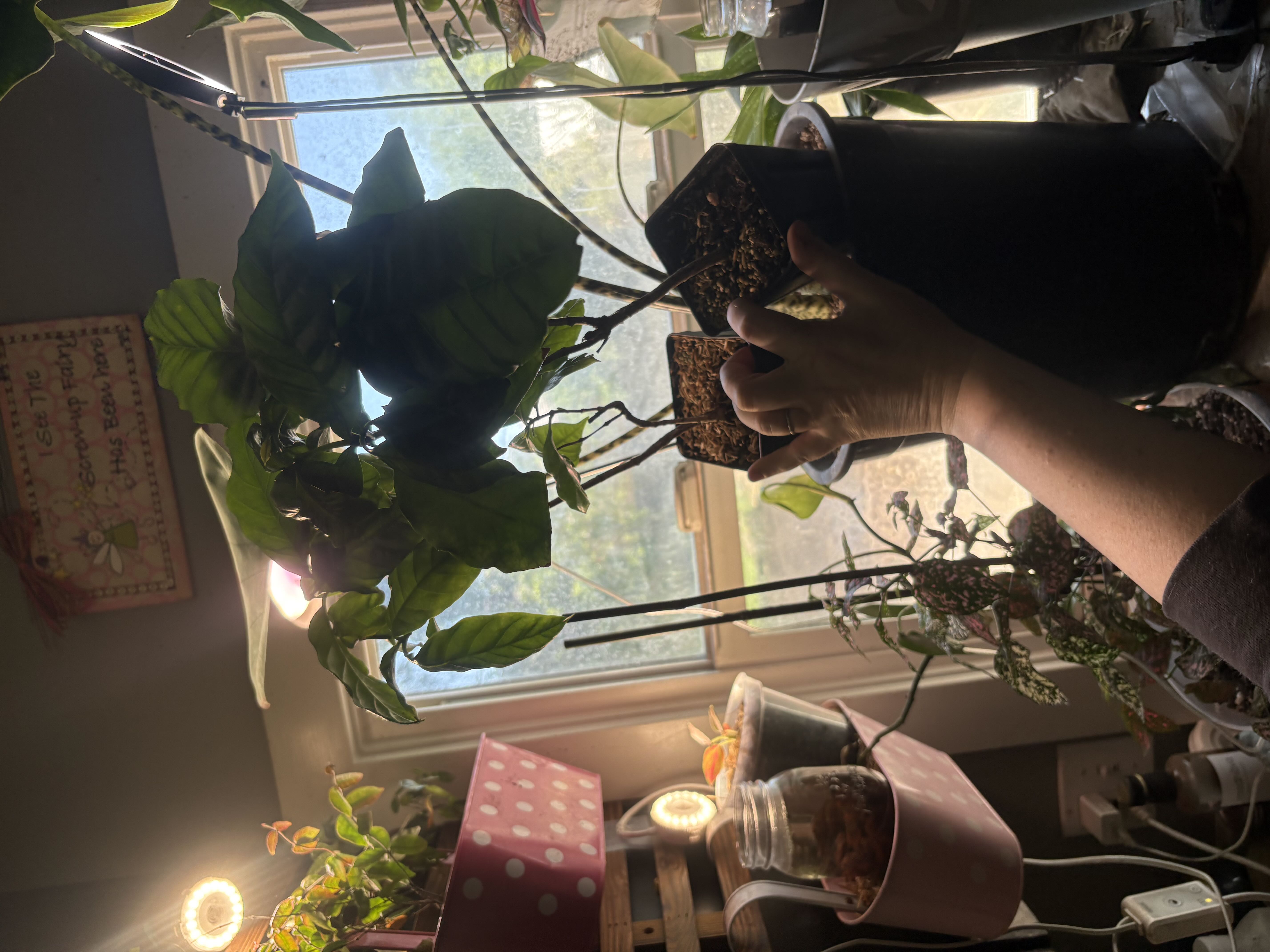 Photo from the post