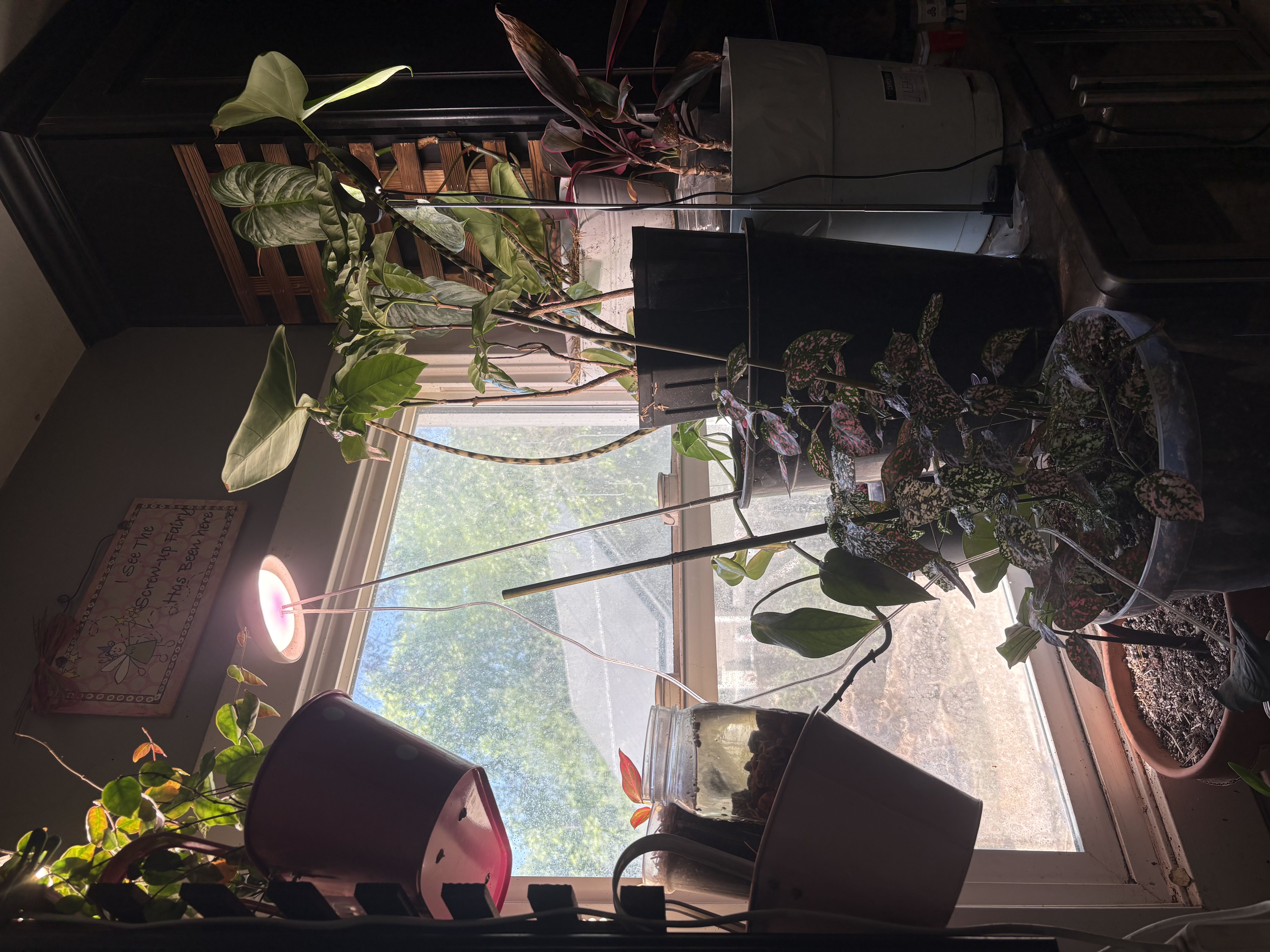 Photo from the post