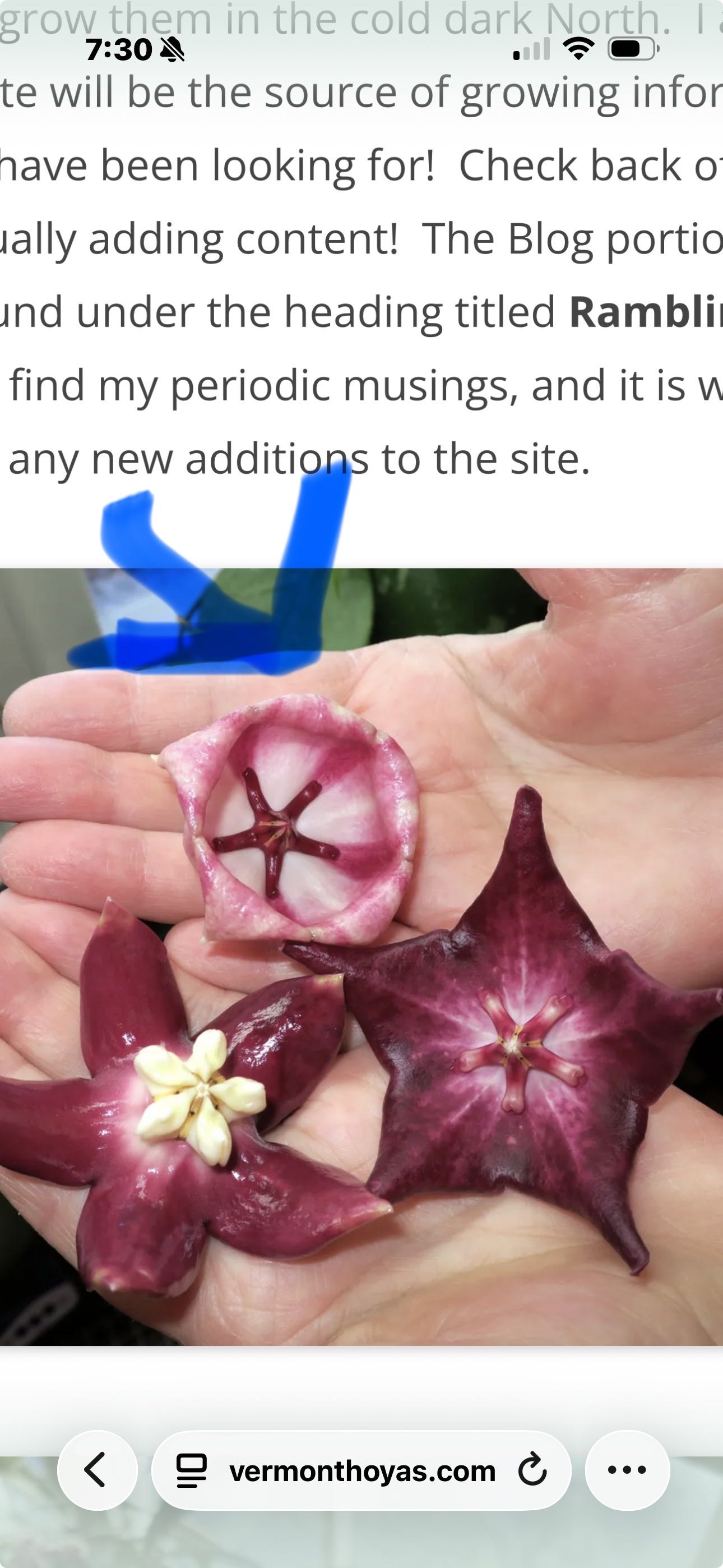 Photo from the post