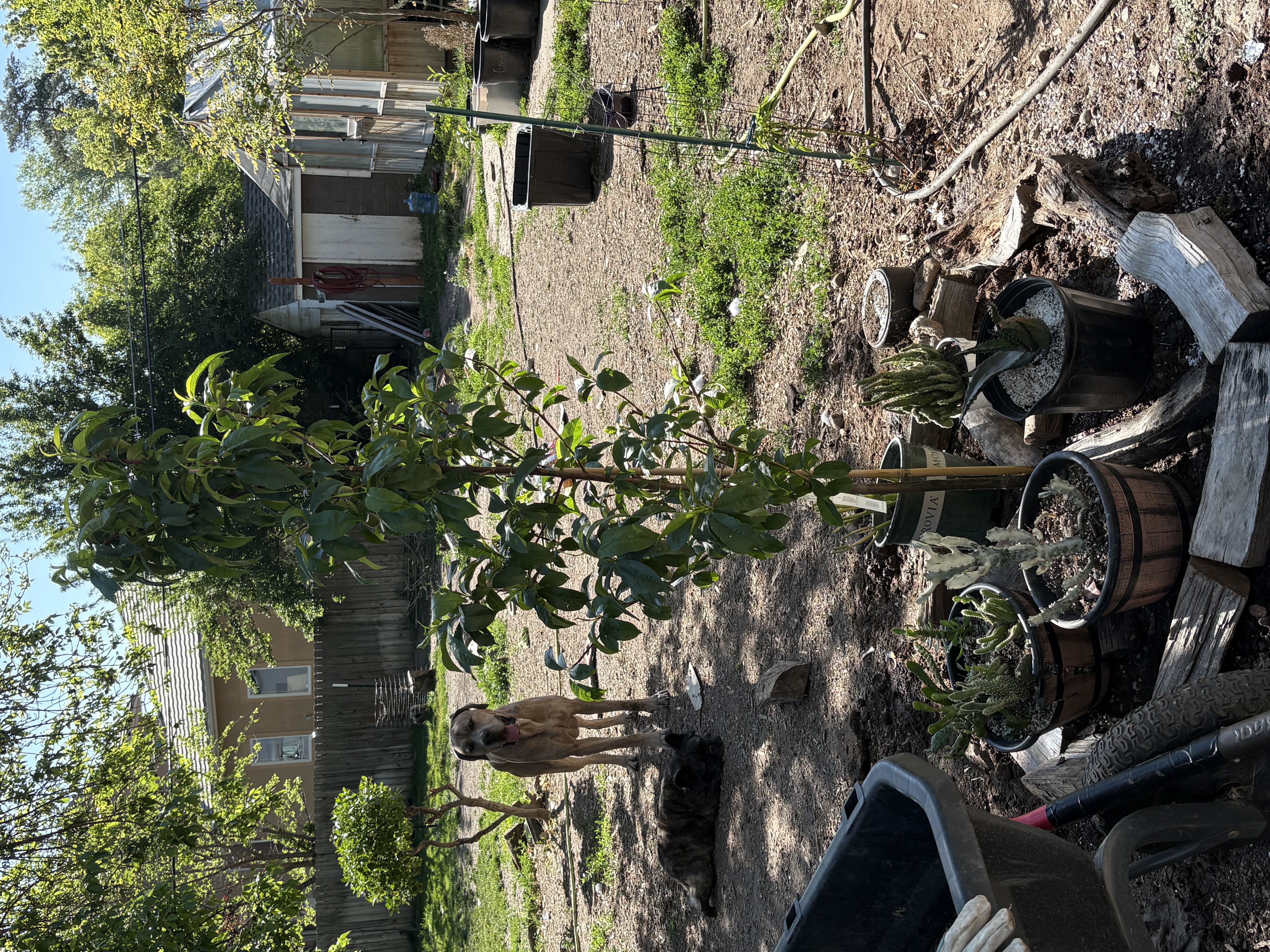 Photo from the post