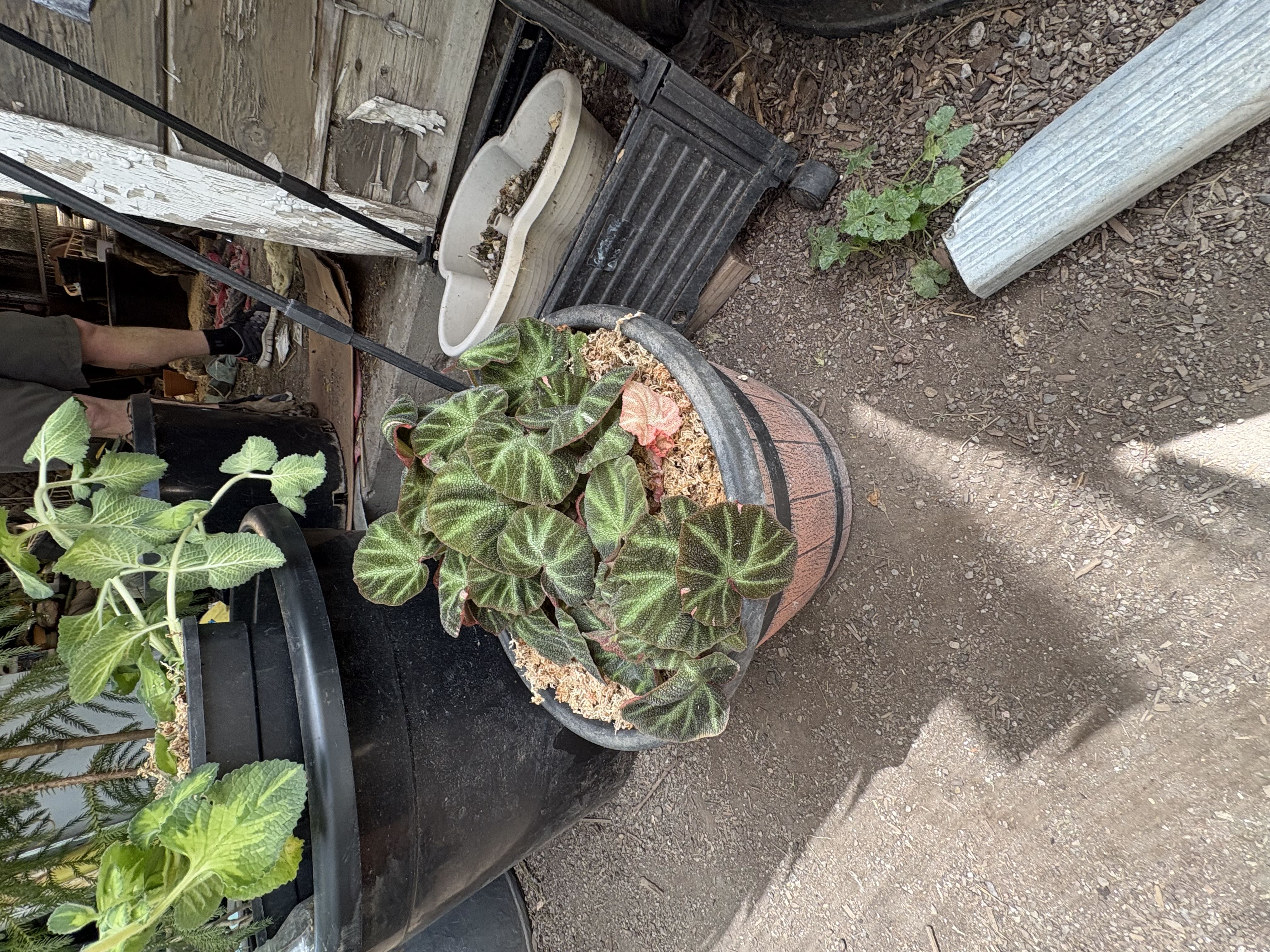 Photo from the post