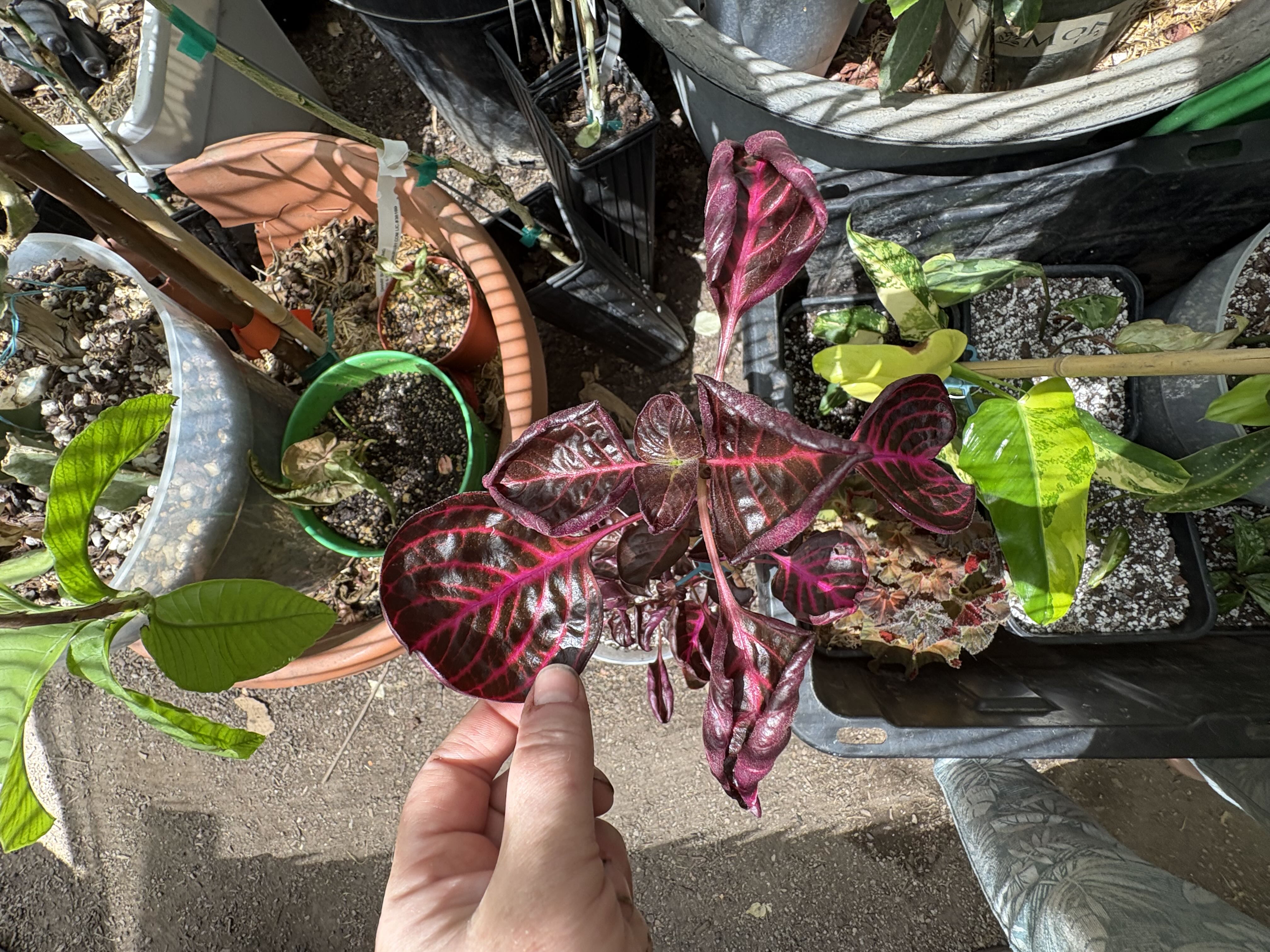 Photo from the post