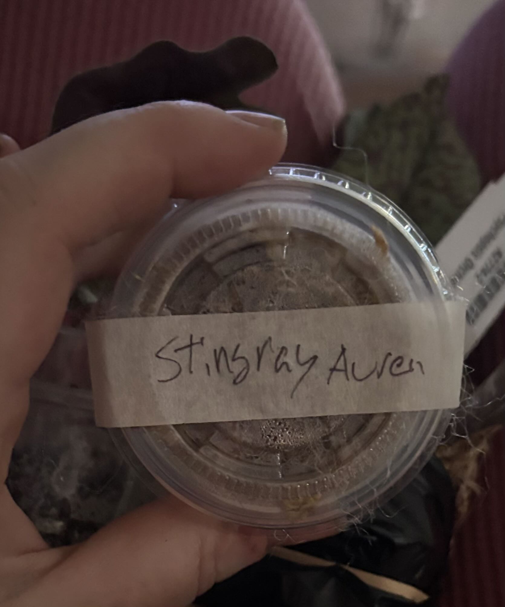 Photo from the post