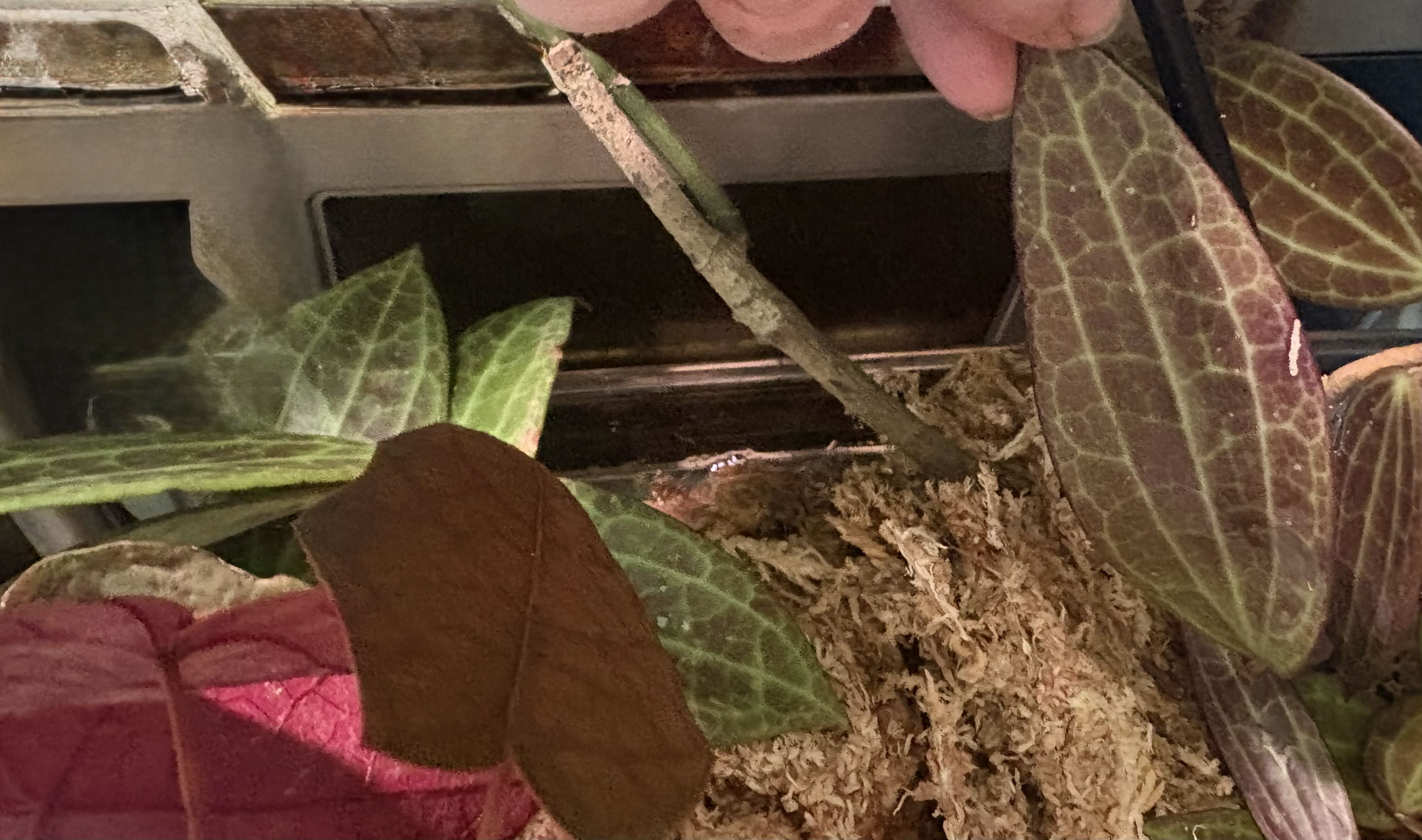 Photo from the post