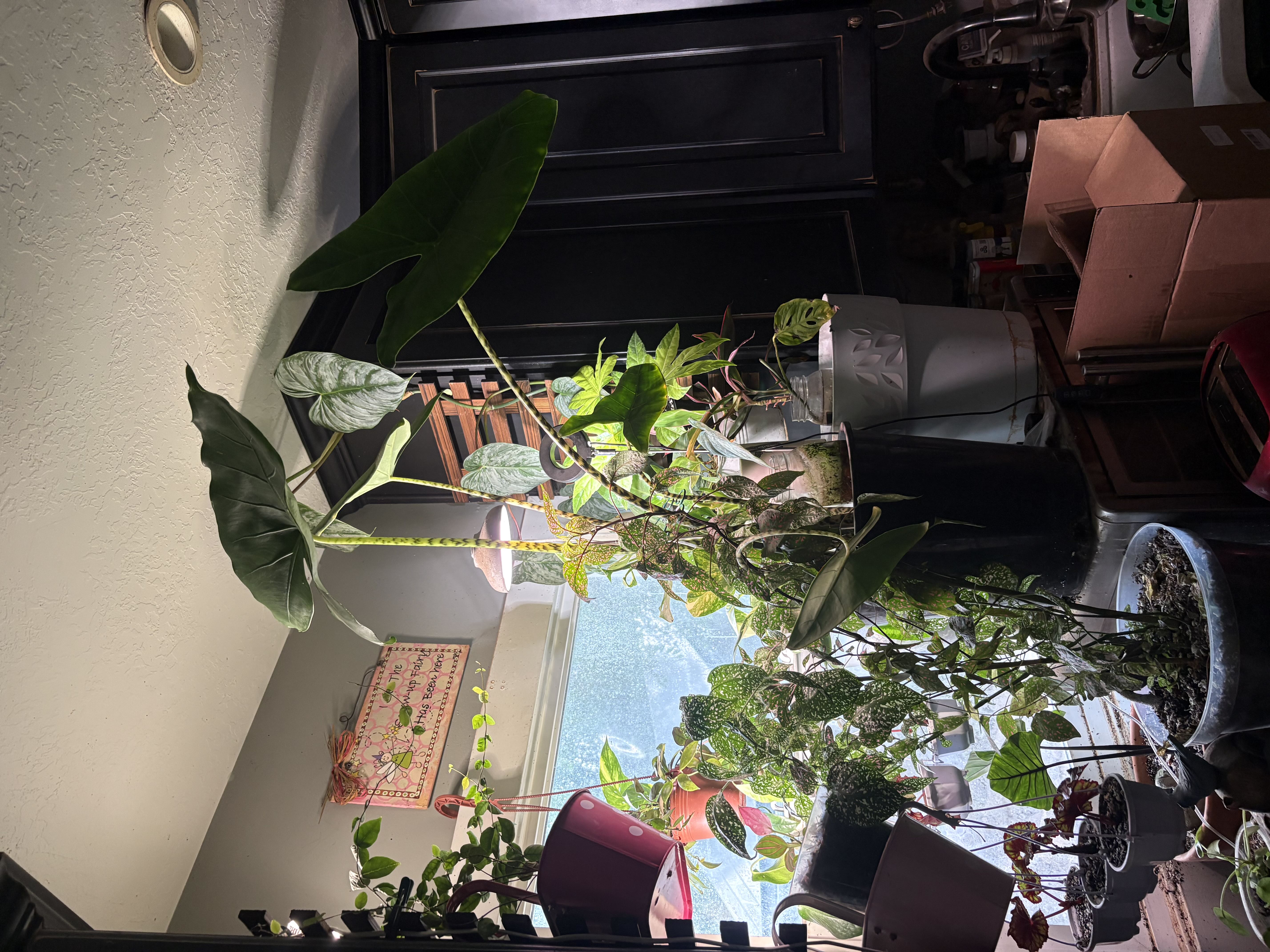 Photo from the post