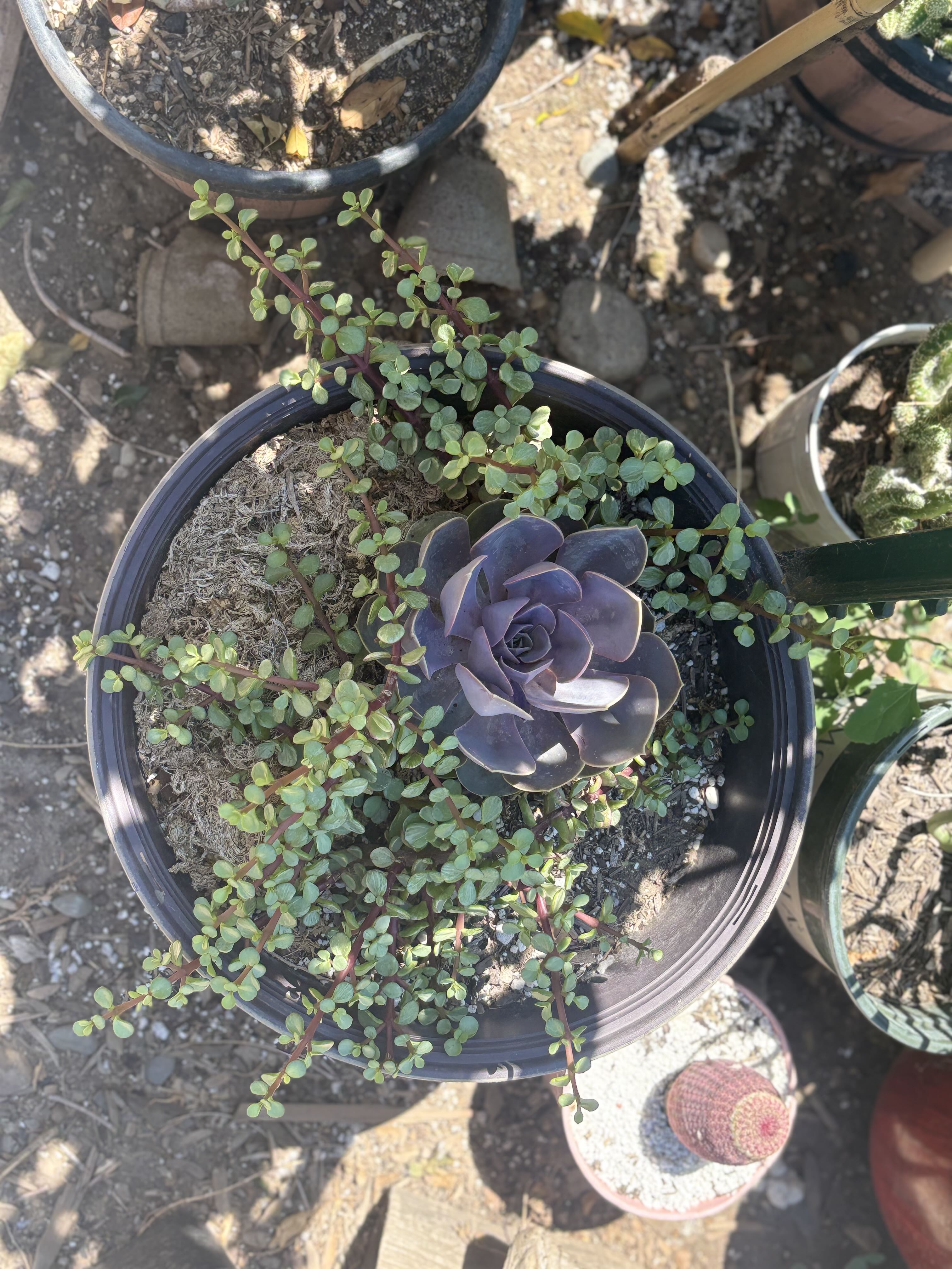 Photo from the post