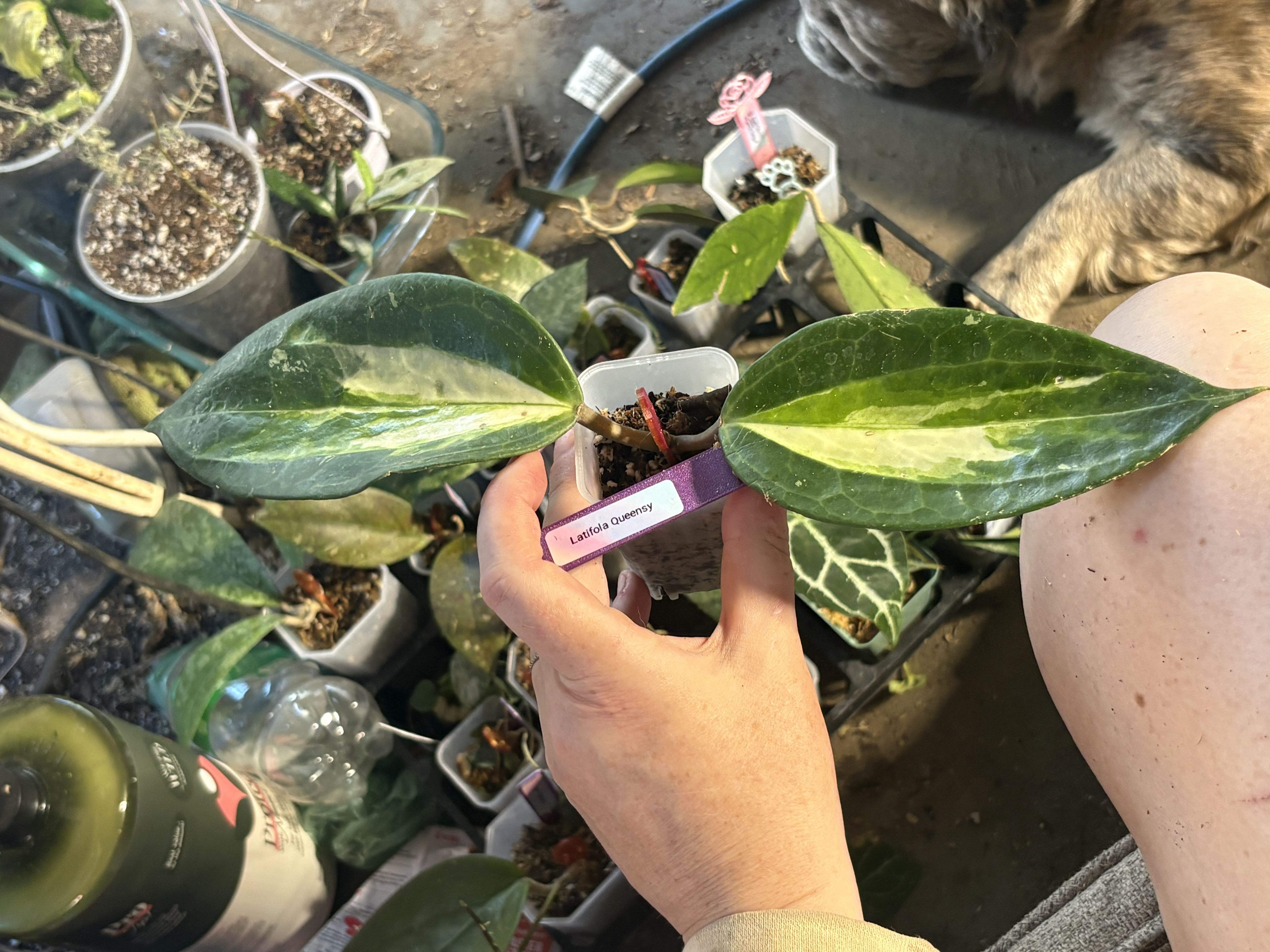 Photo from the post