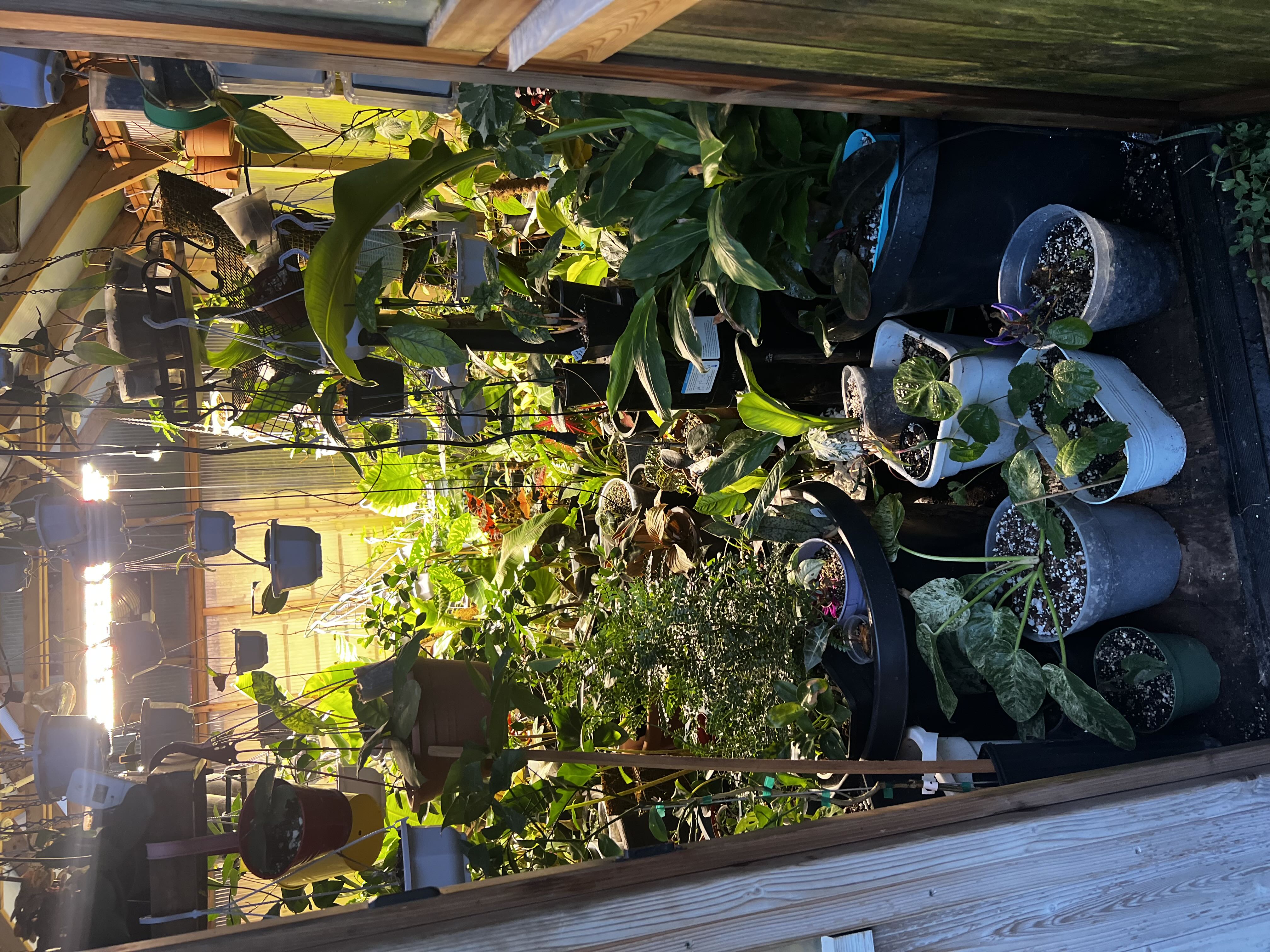 Photo from the post
