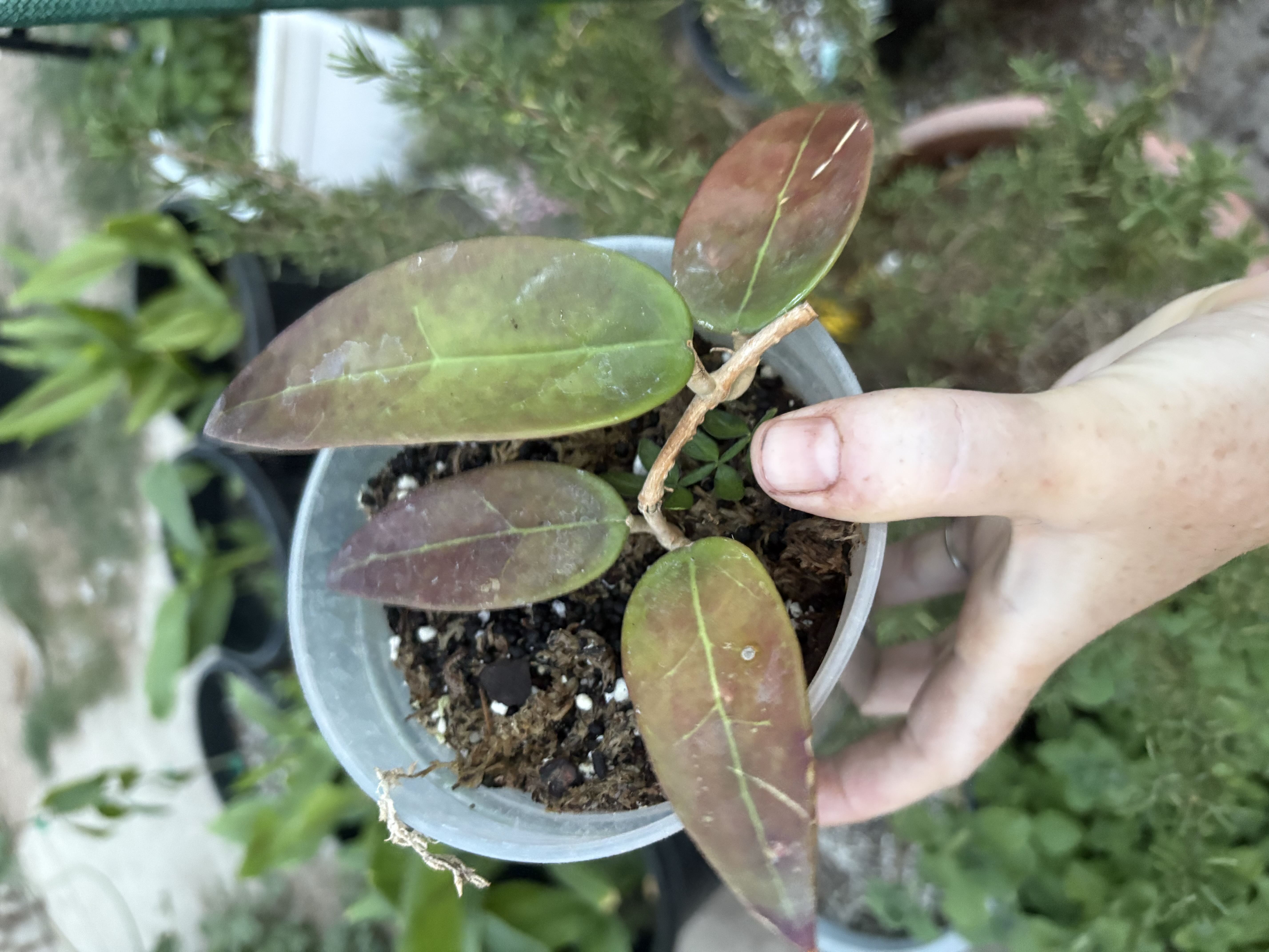 Photo from the post