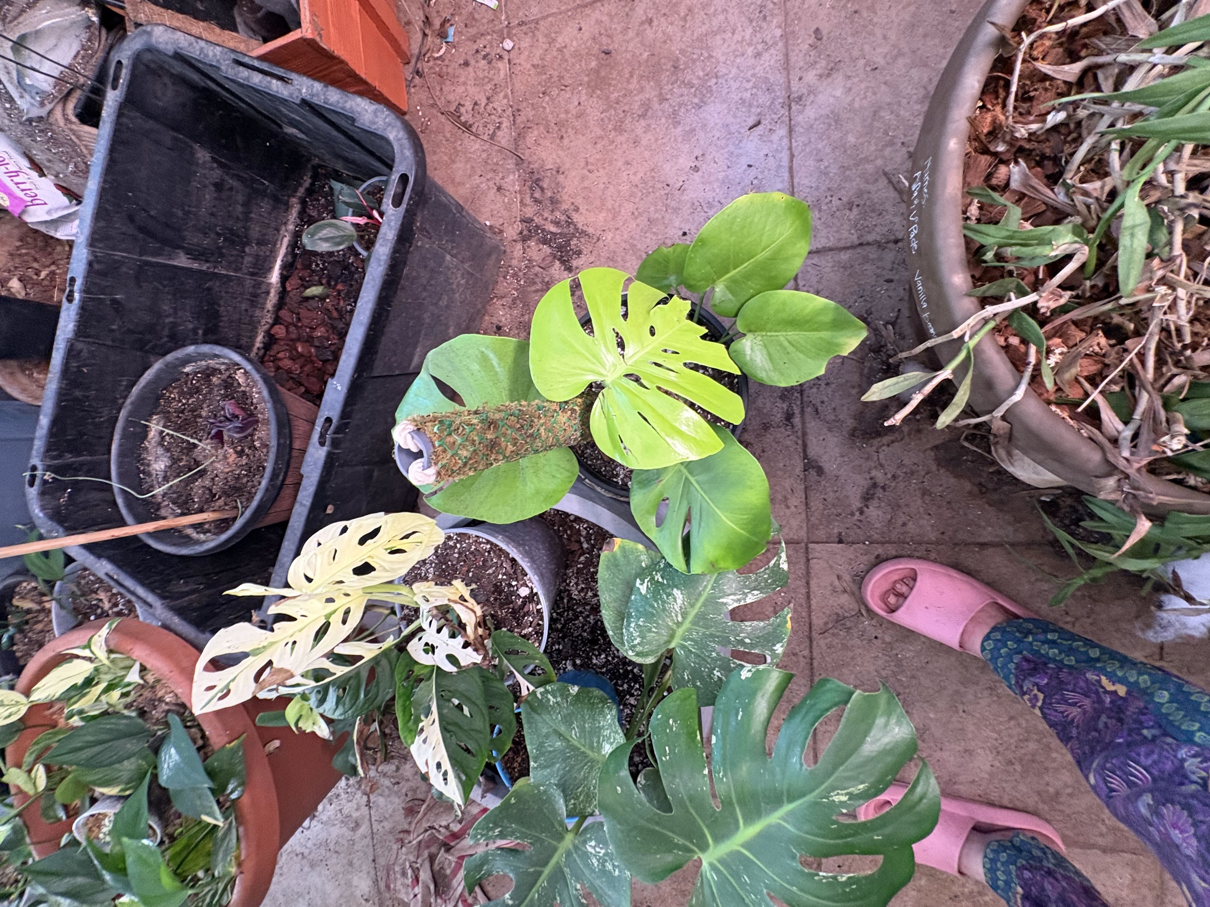 Photo from the post