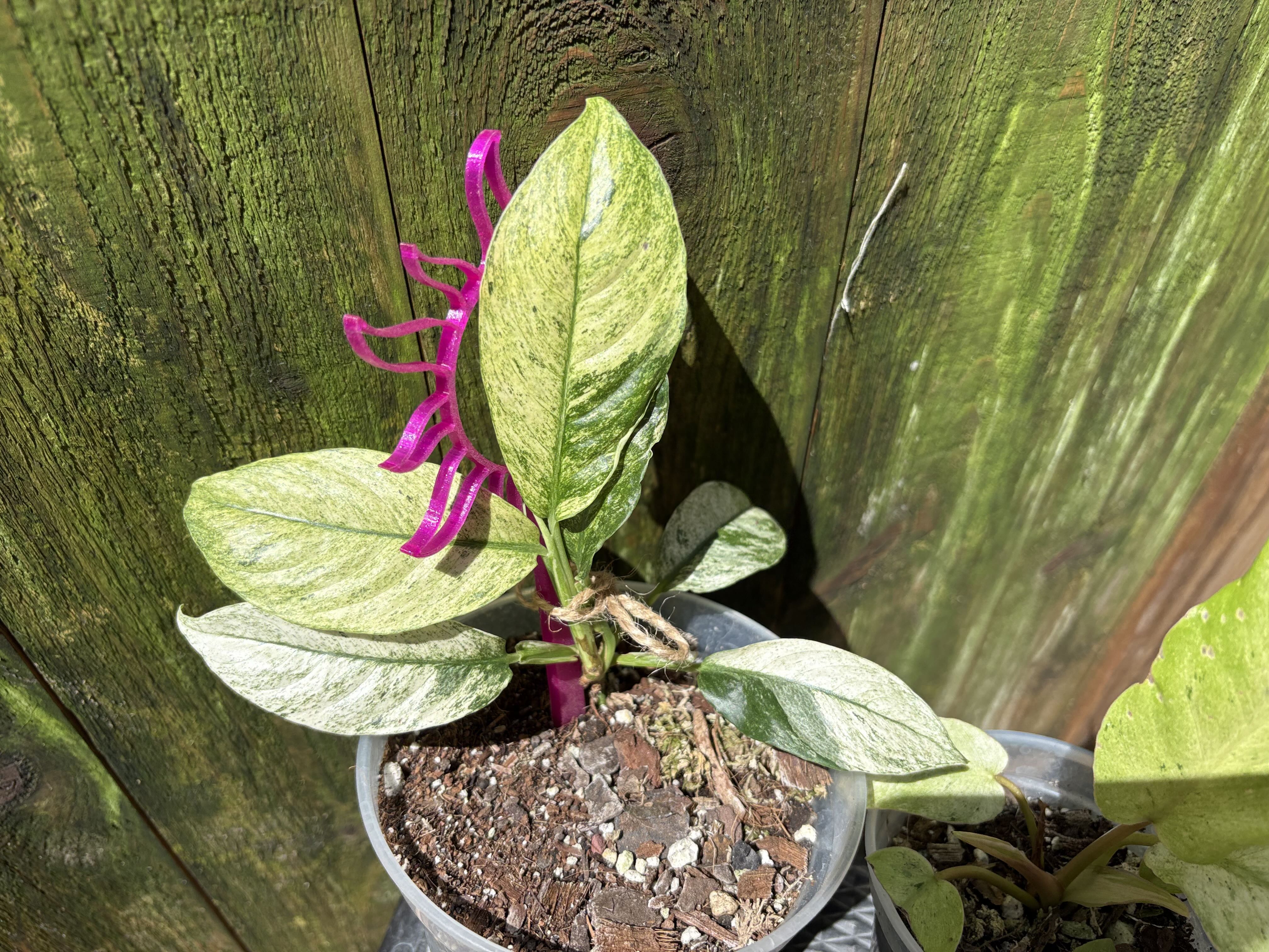Photo from the post