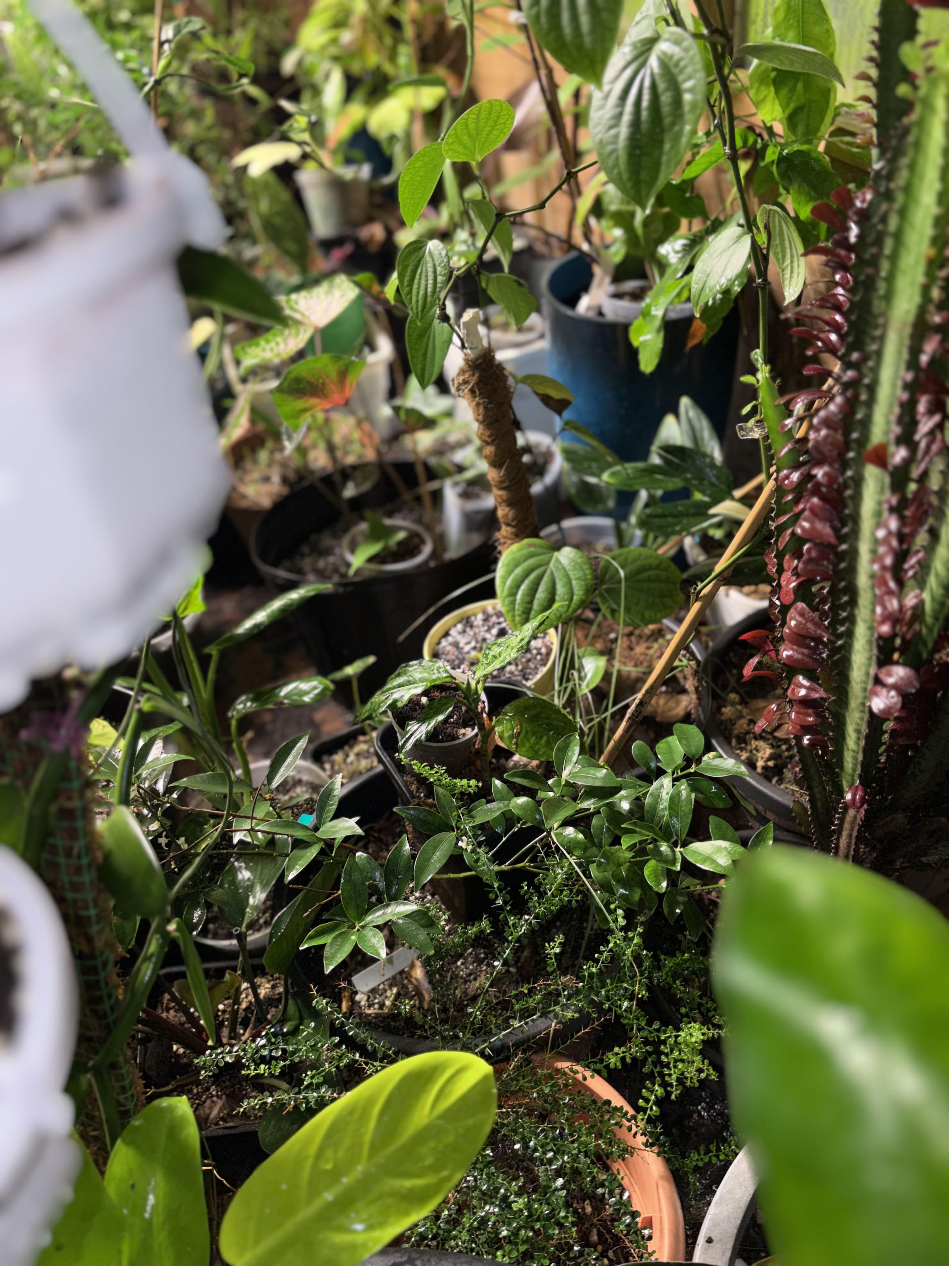 Photo from the post