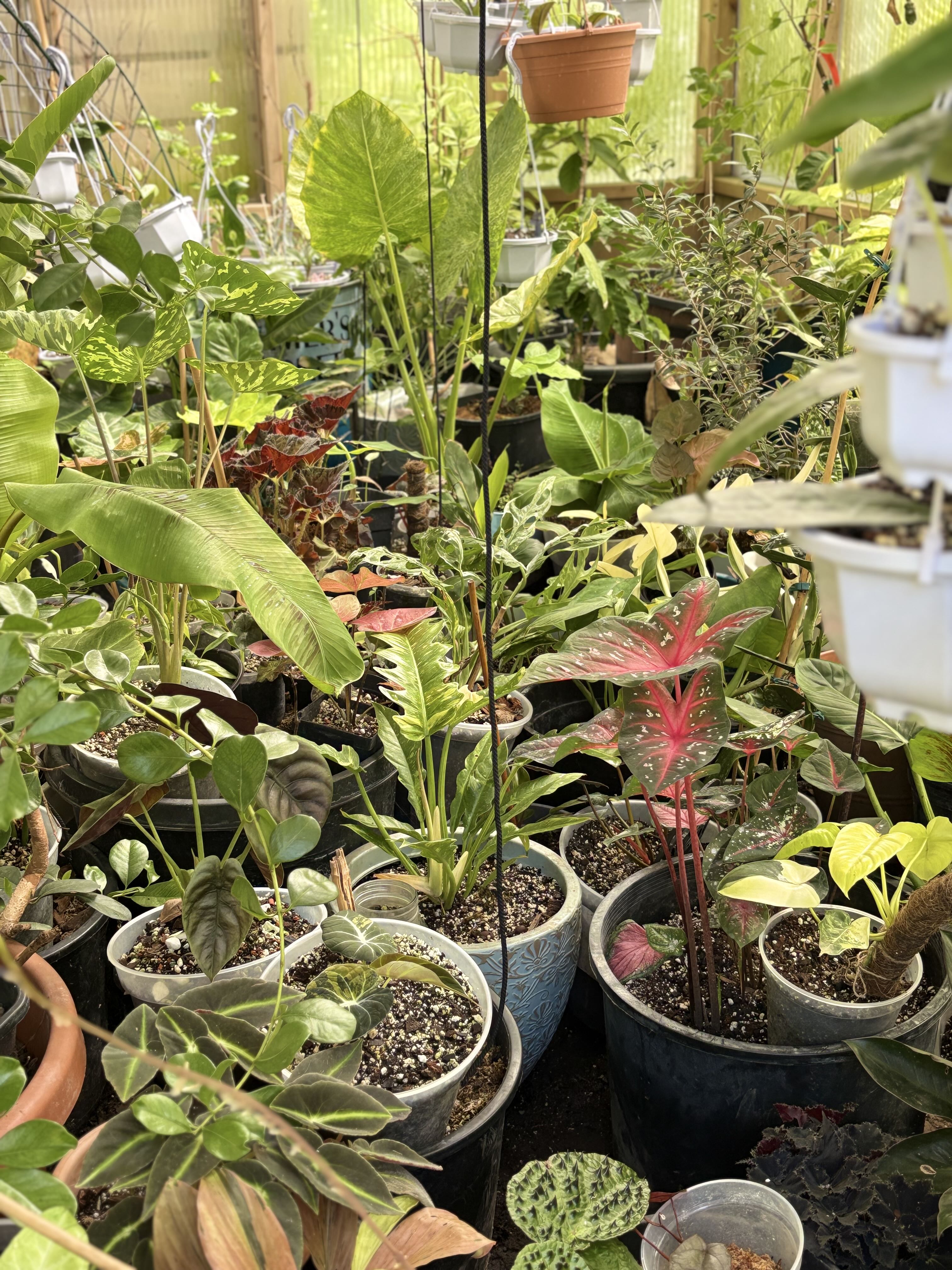 Photo from the post