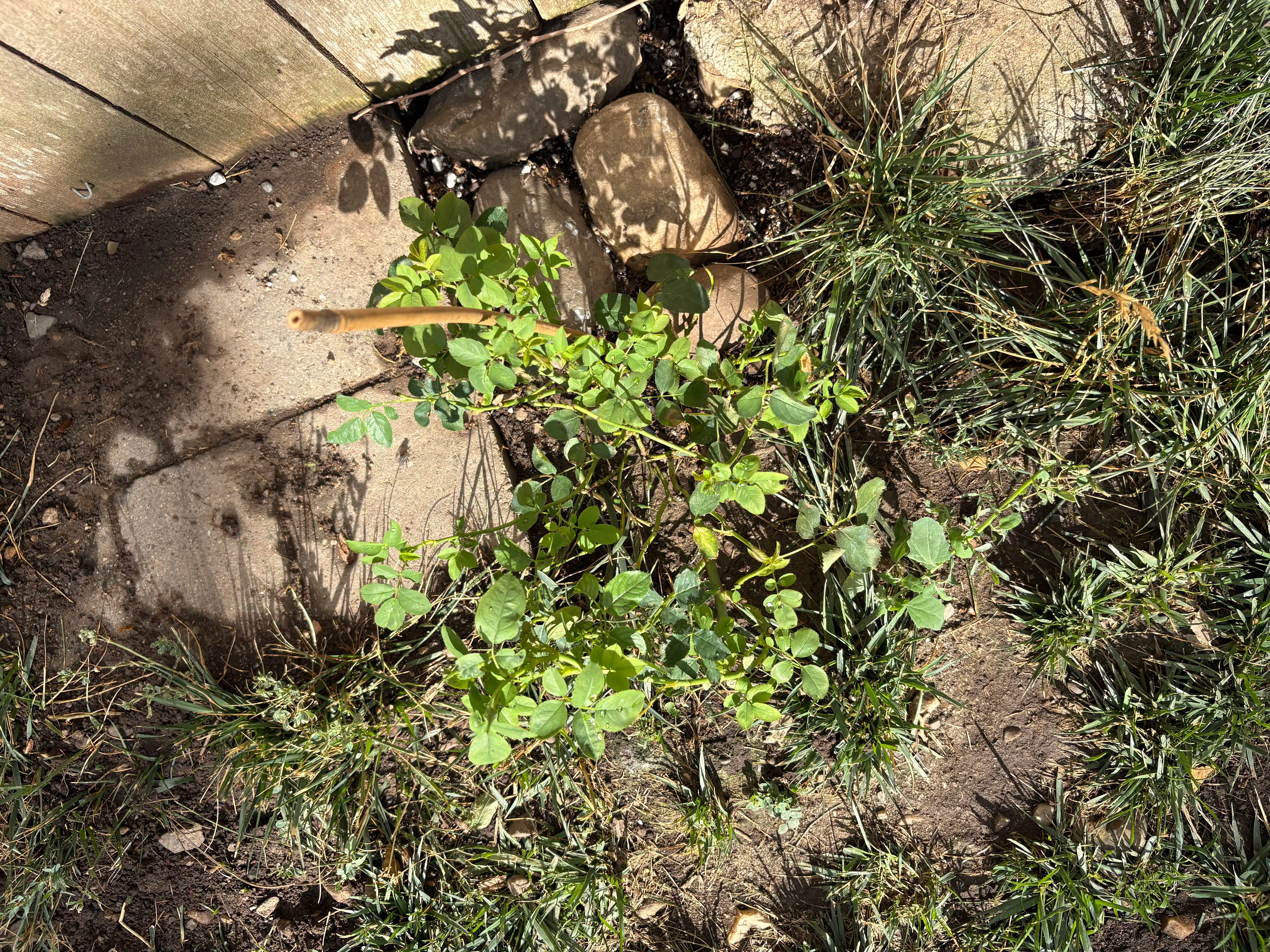 Photo from the post