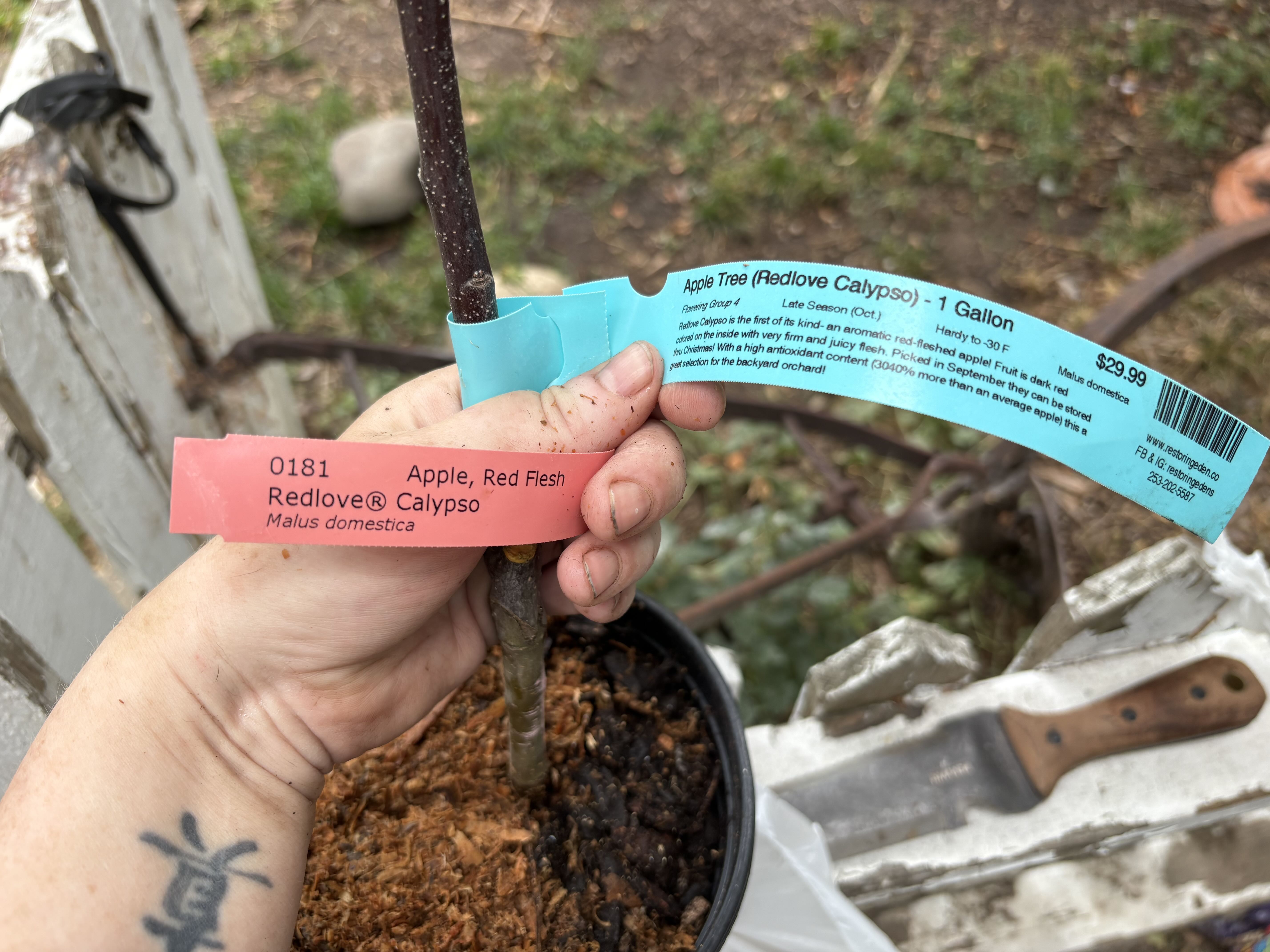 Photo from the post
