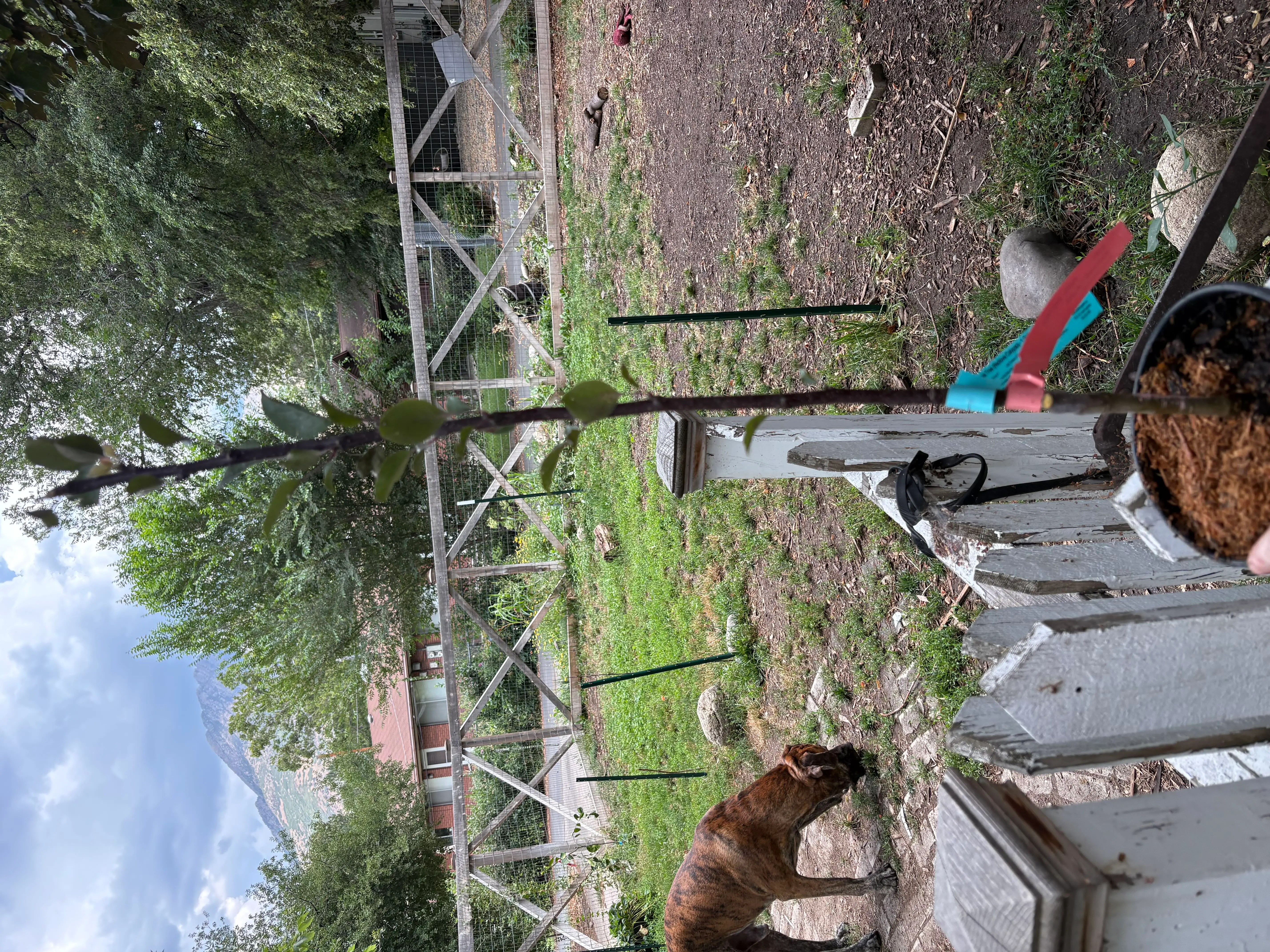 Photo from the post