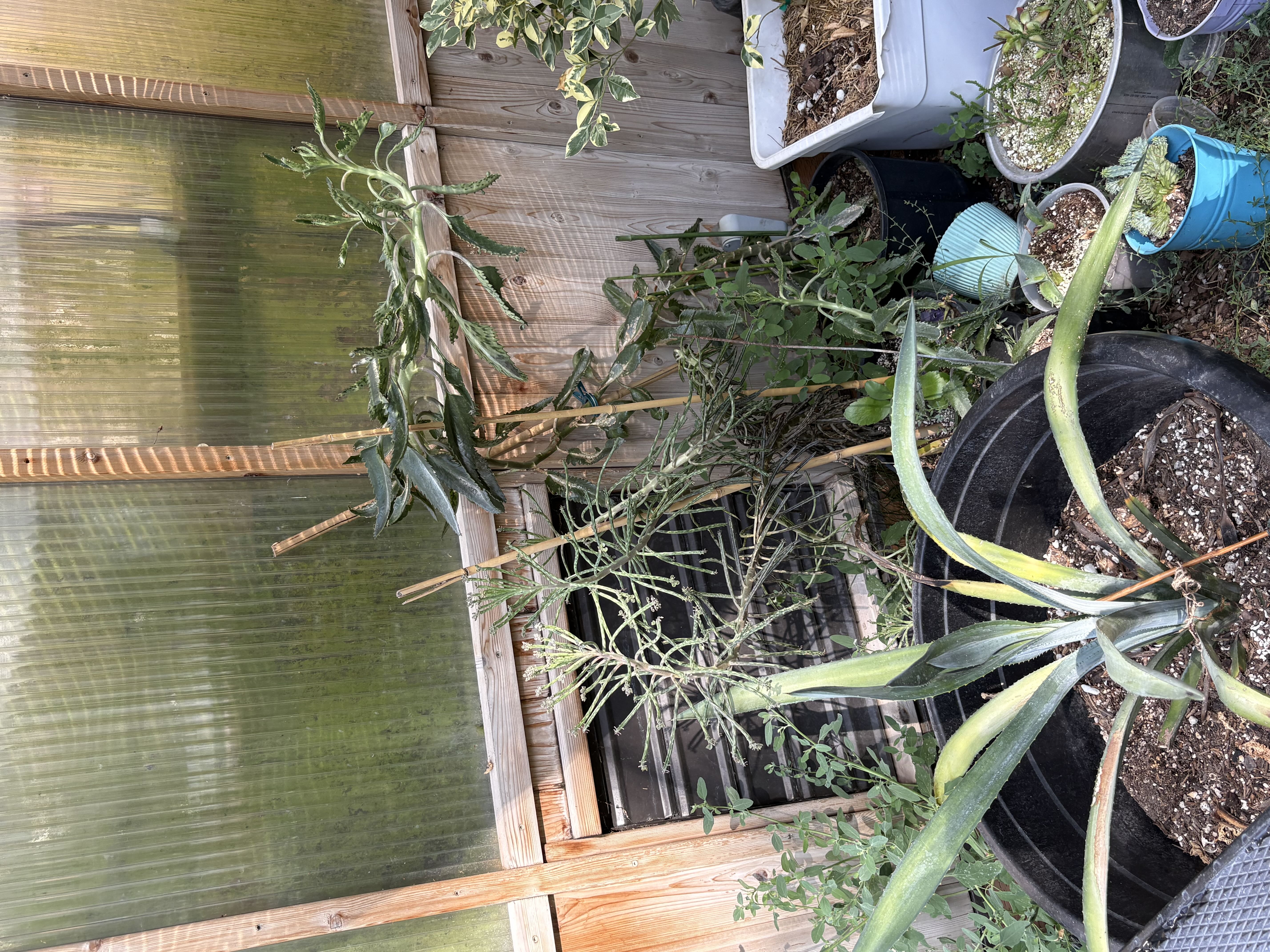 Photo from the post