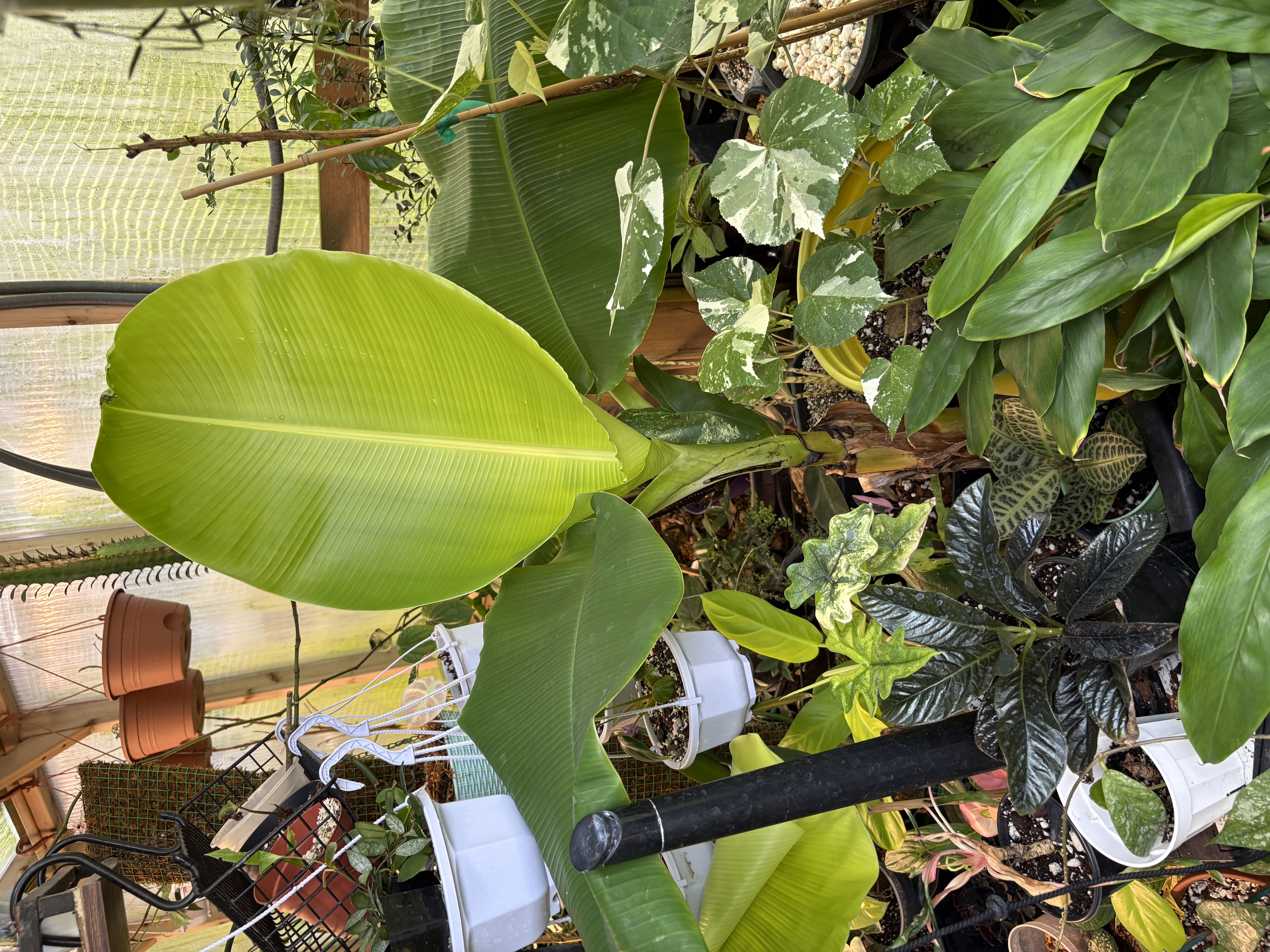 Photo from the post