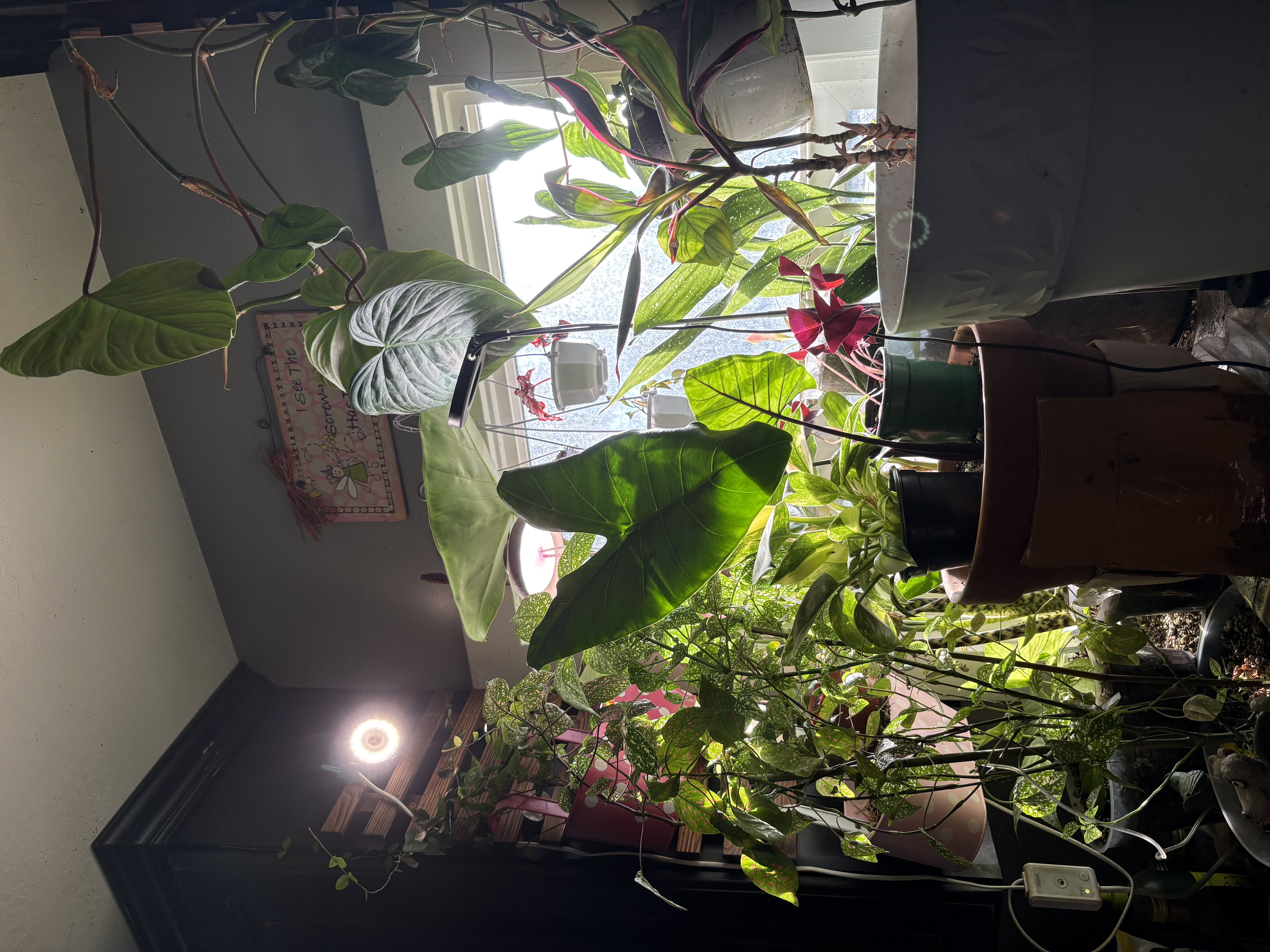 Photo from the post
