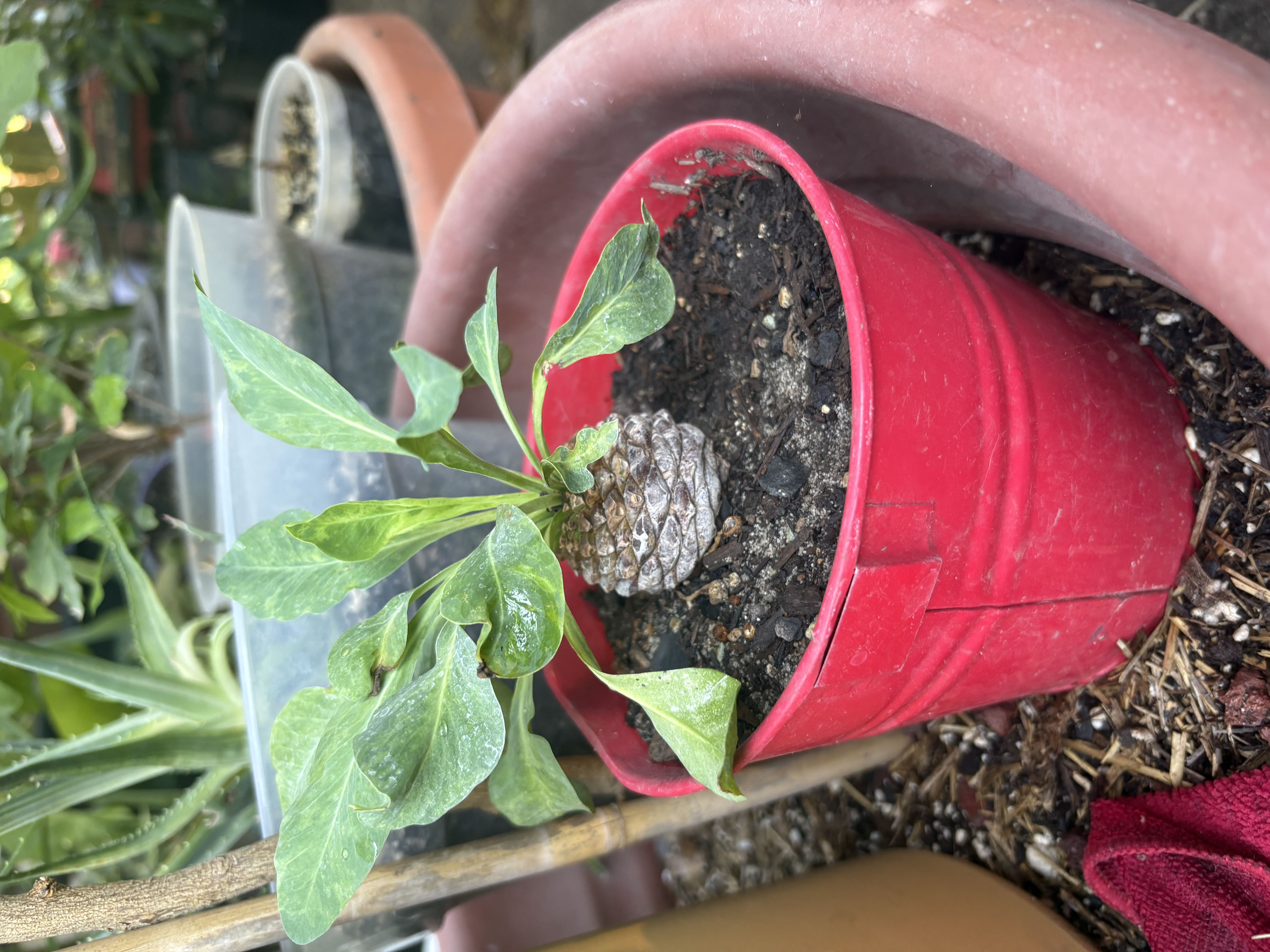 Photo from the post