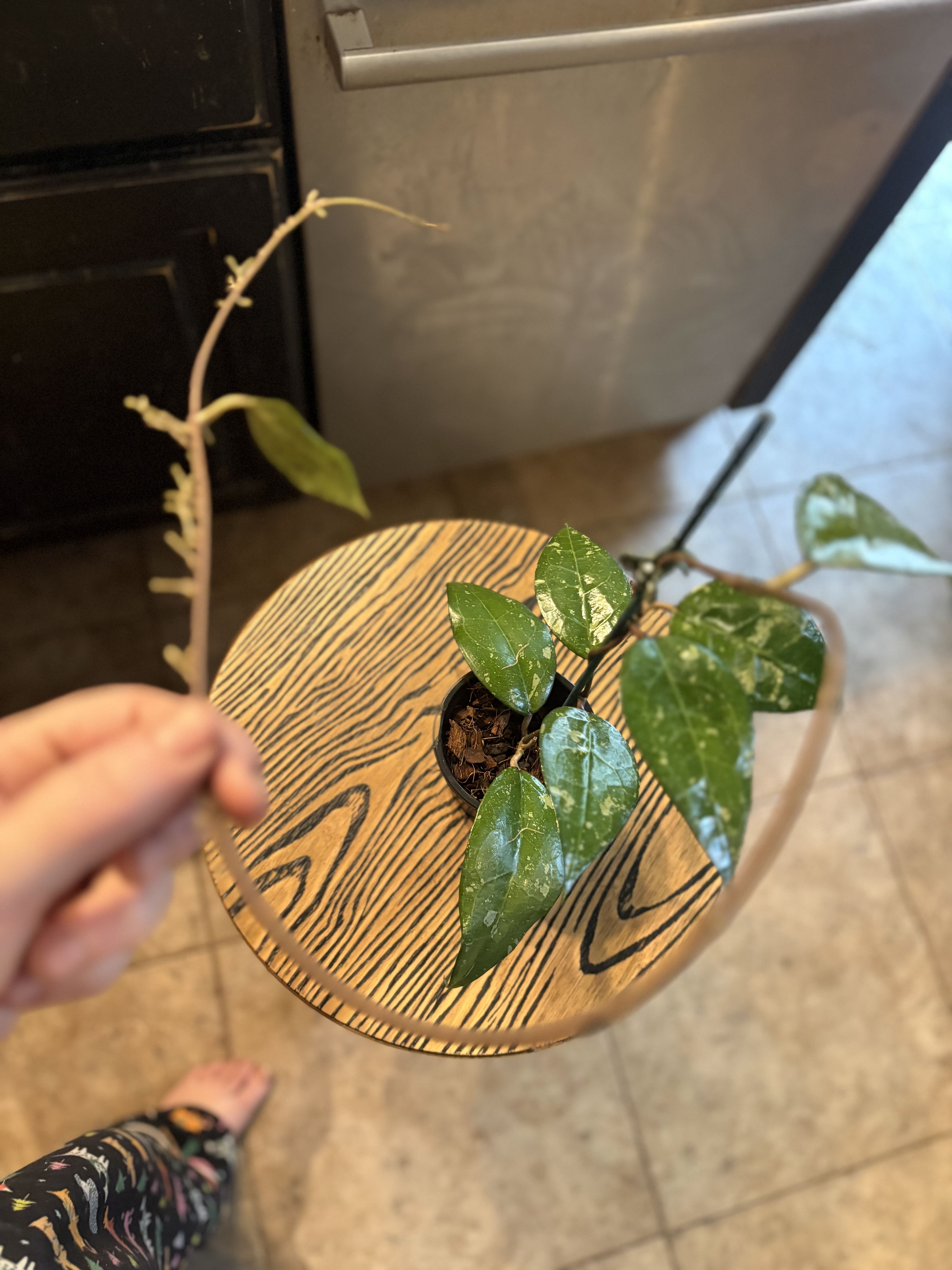 Photo from the post