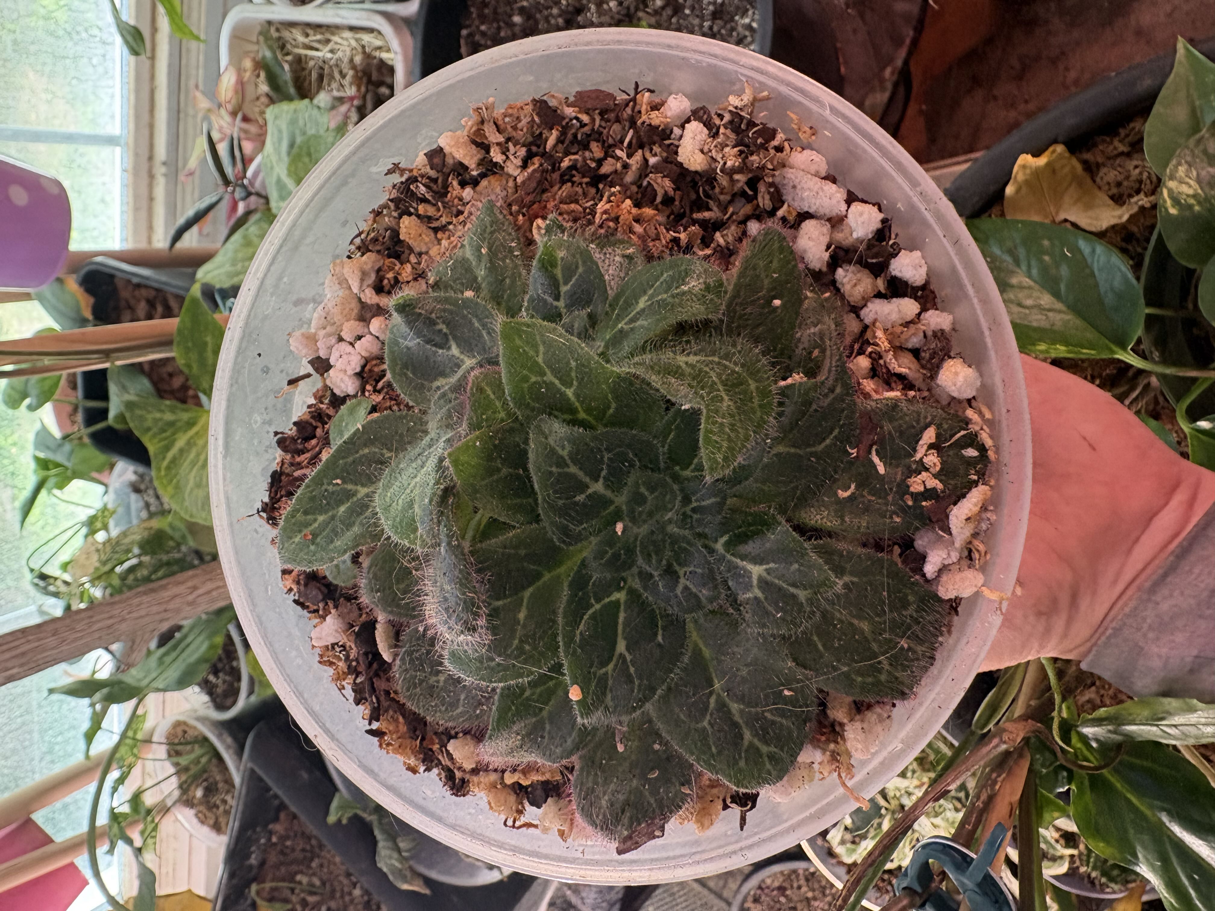 Photo from the post