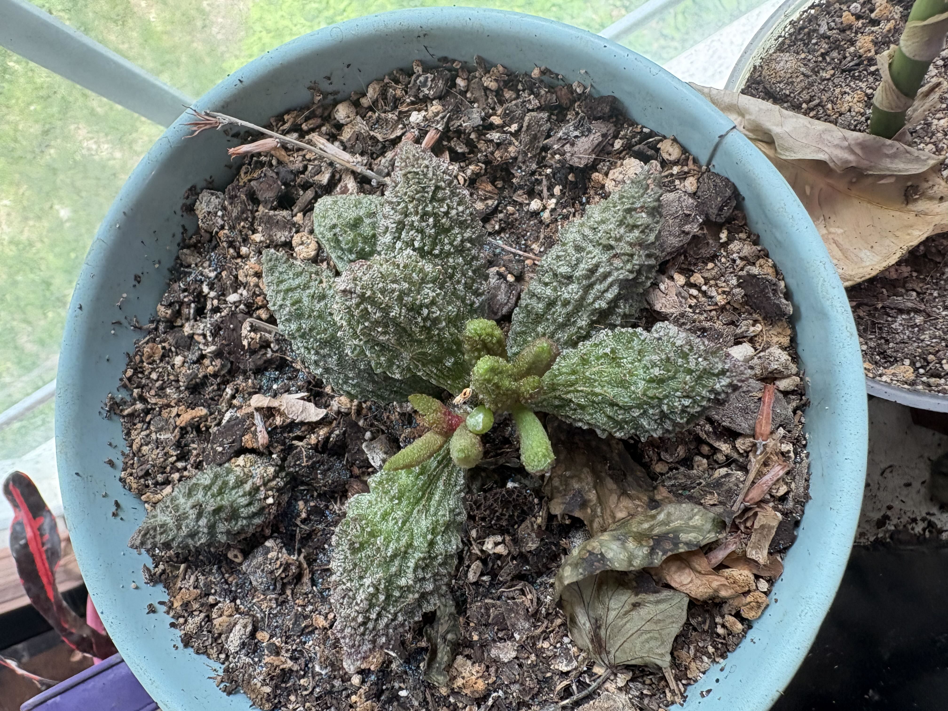 Photo from the post