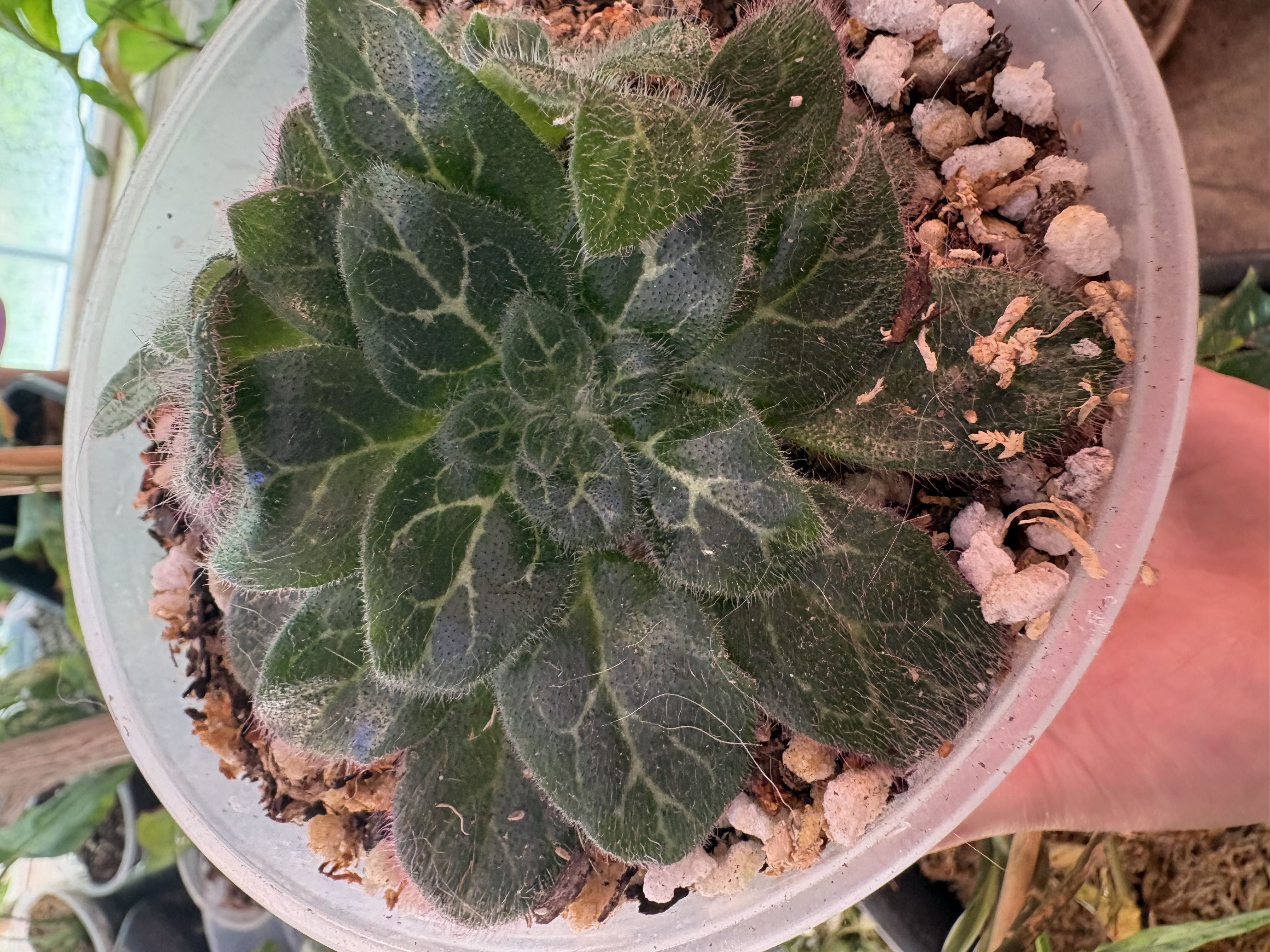 Photo from the post