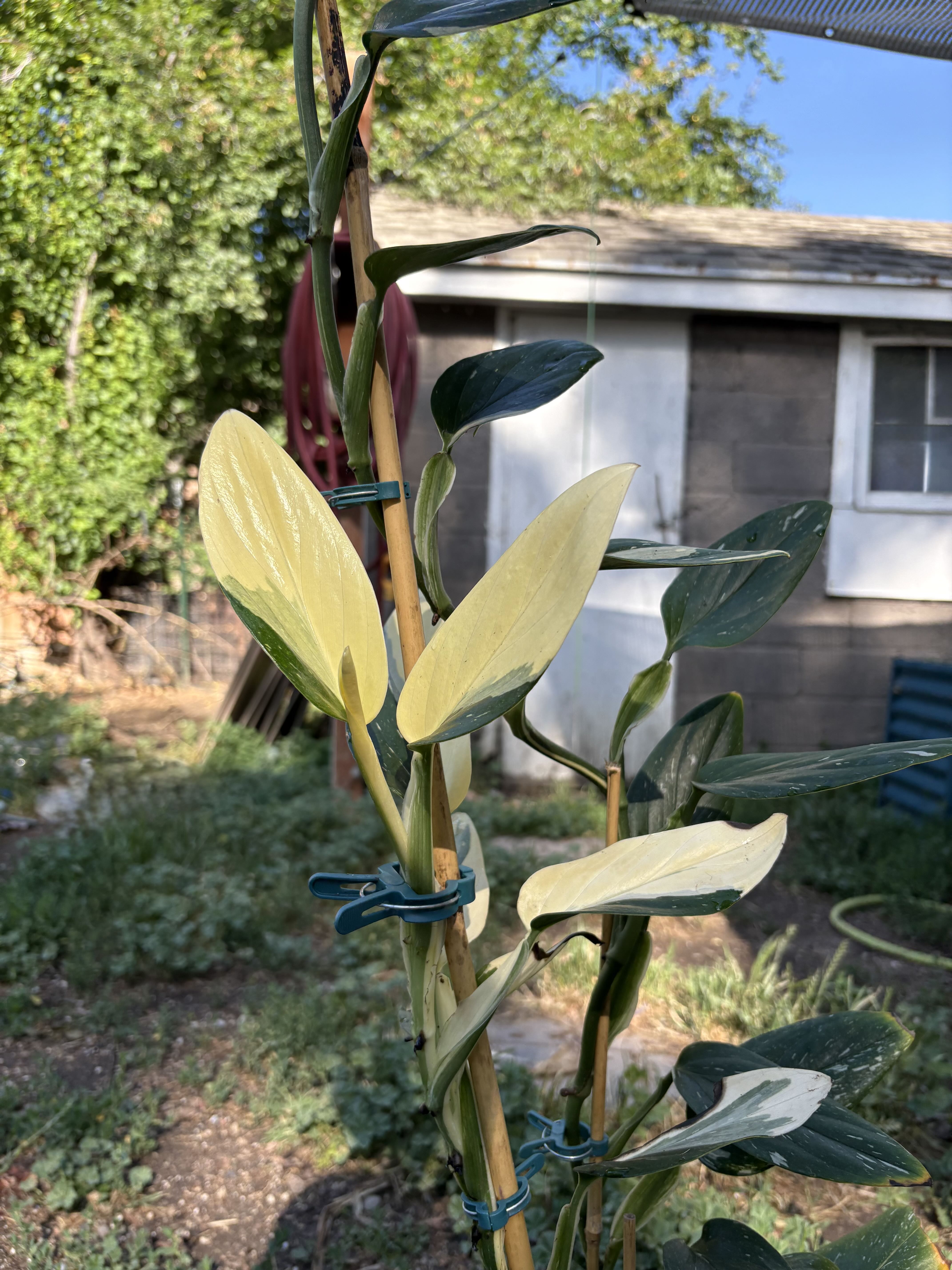 Photo from the post