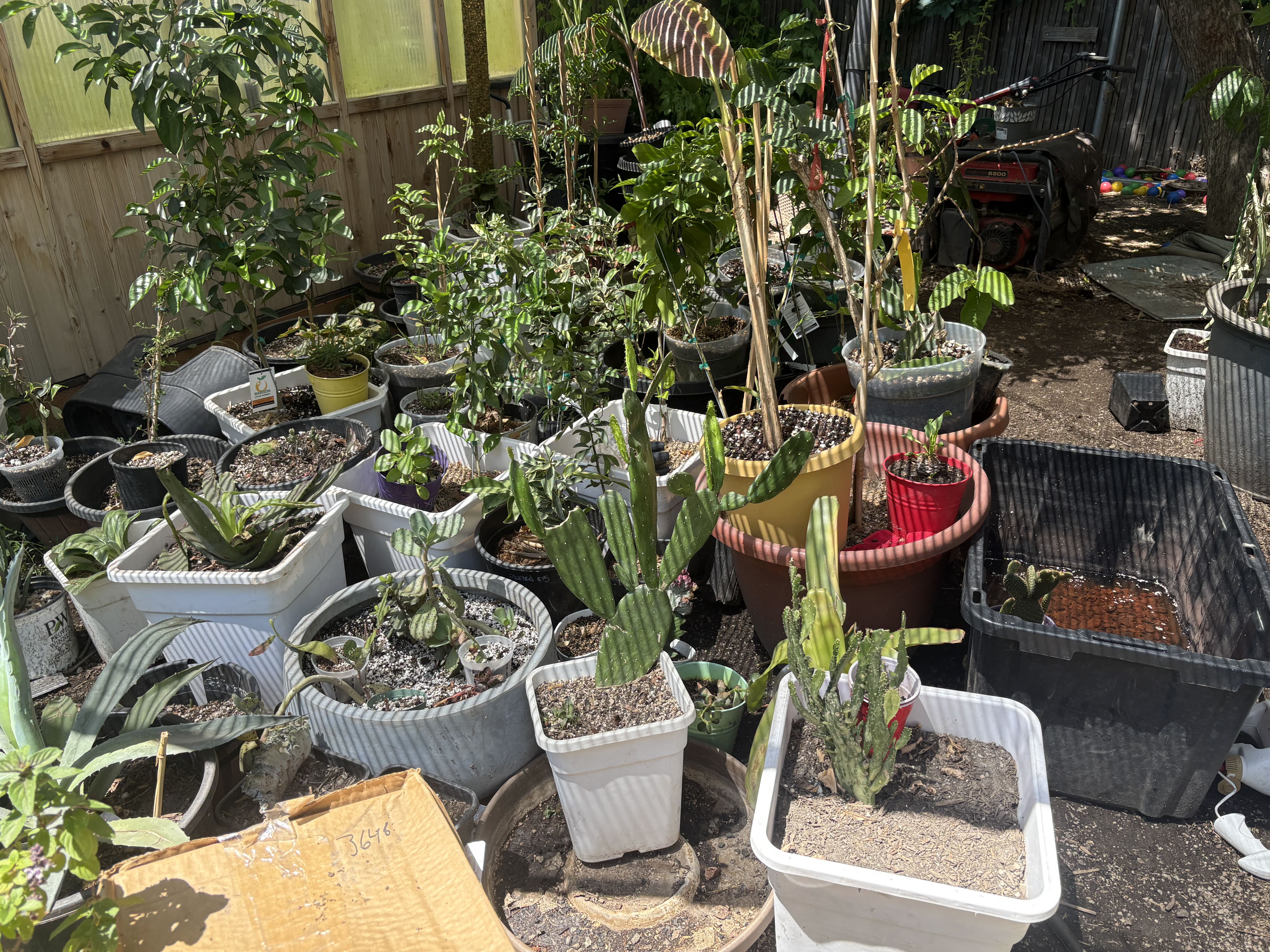Photo from the post