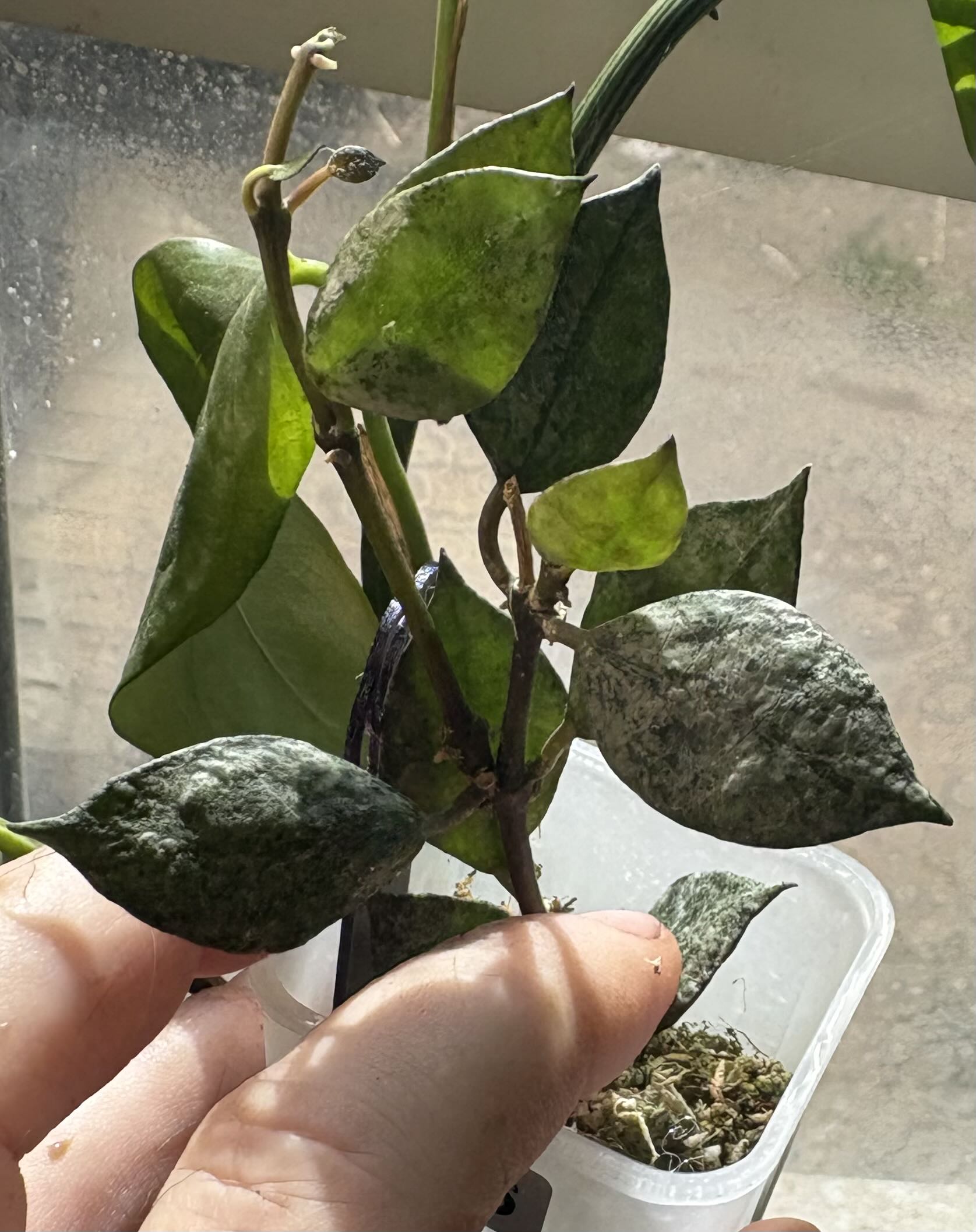 Photo from the post