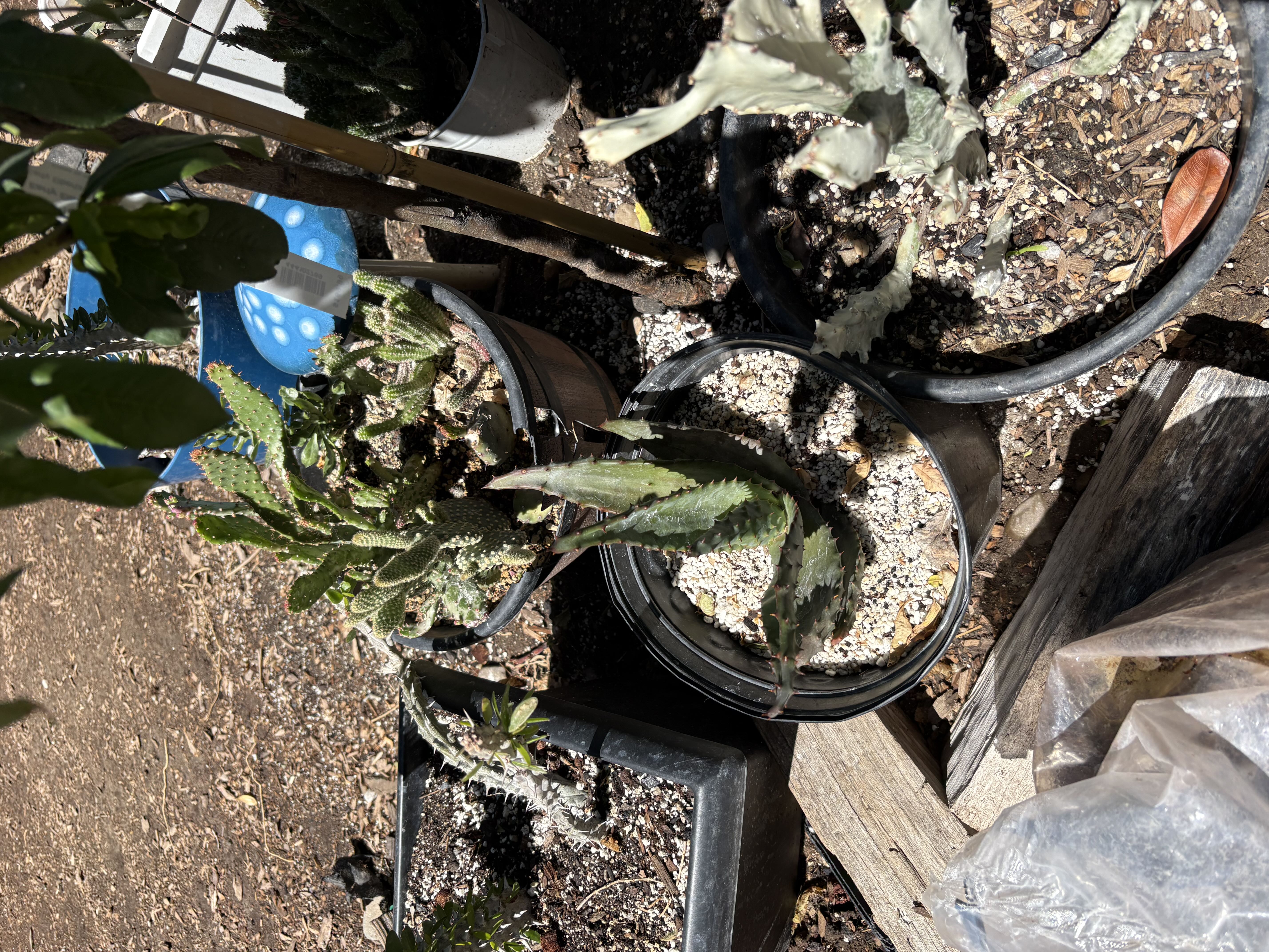 Photo from the post