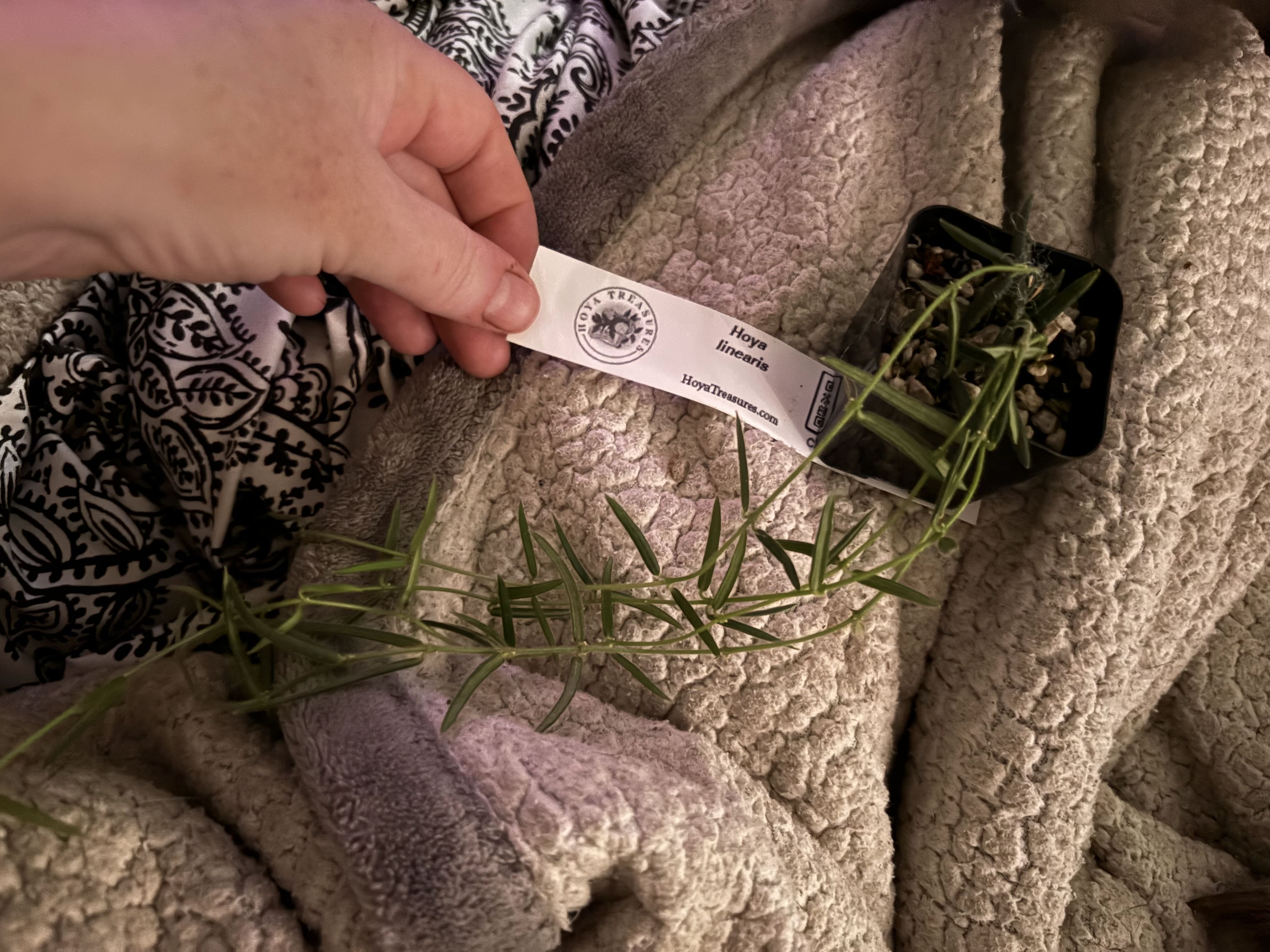 Photo from the post