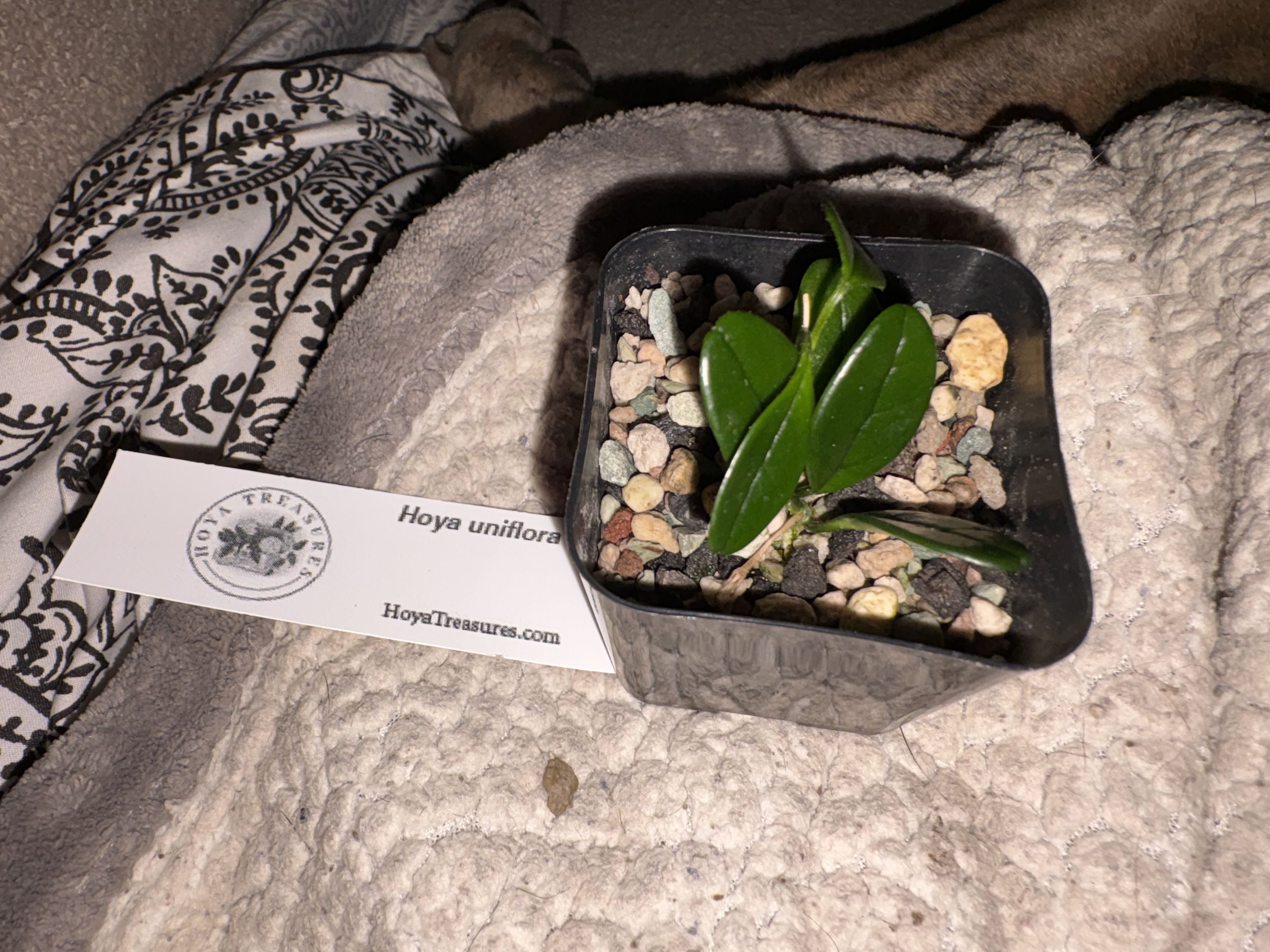 Photo from the post