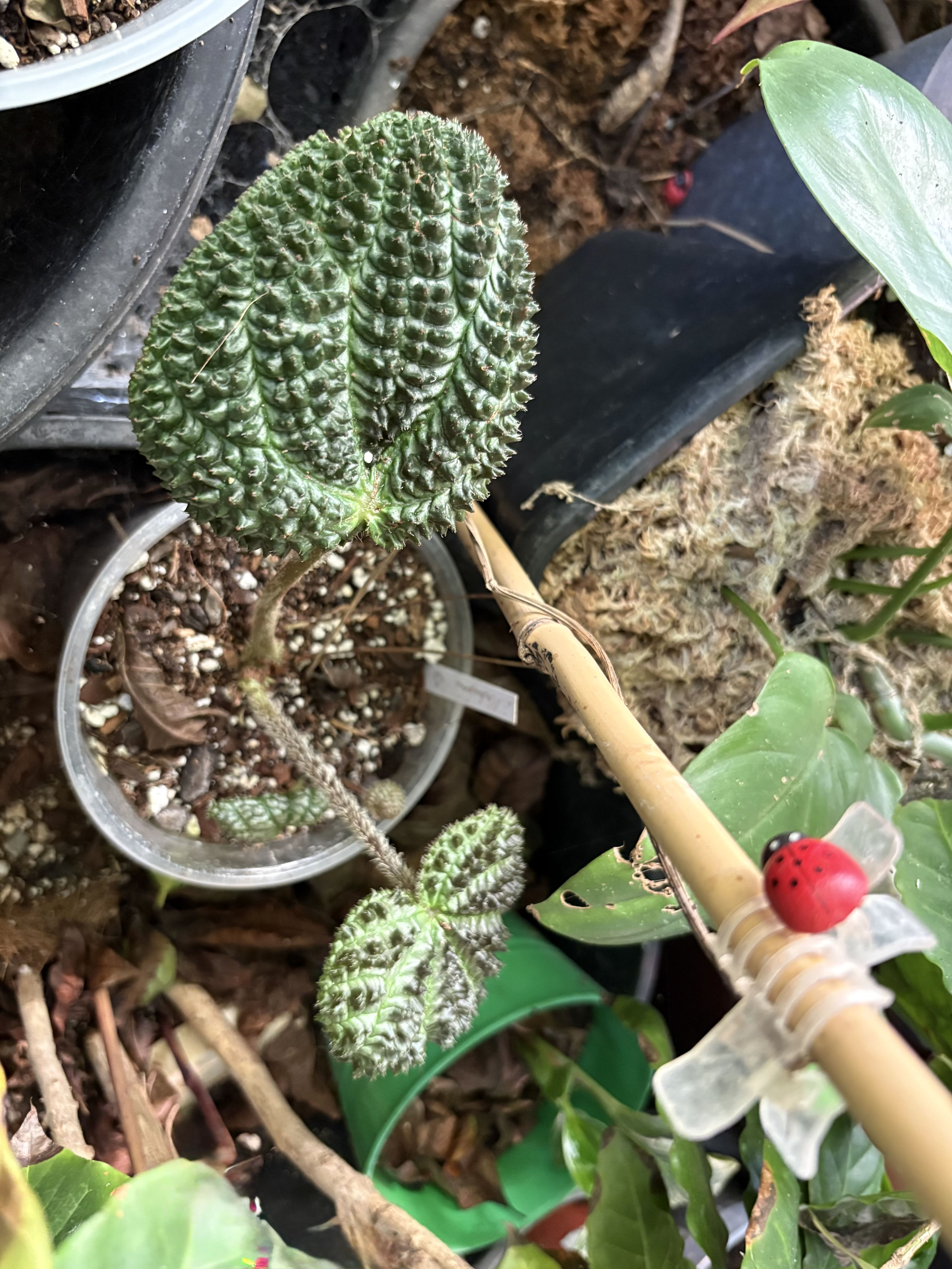 Photo from the post