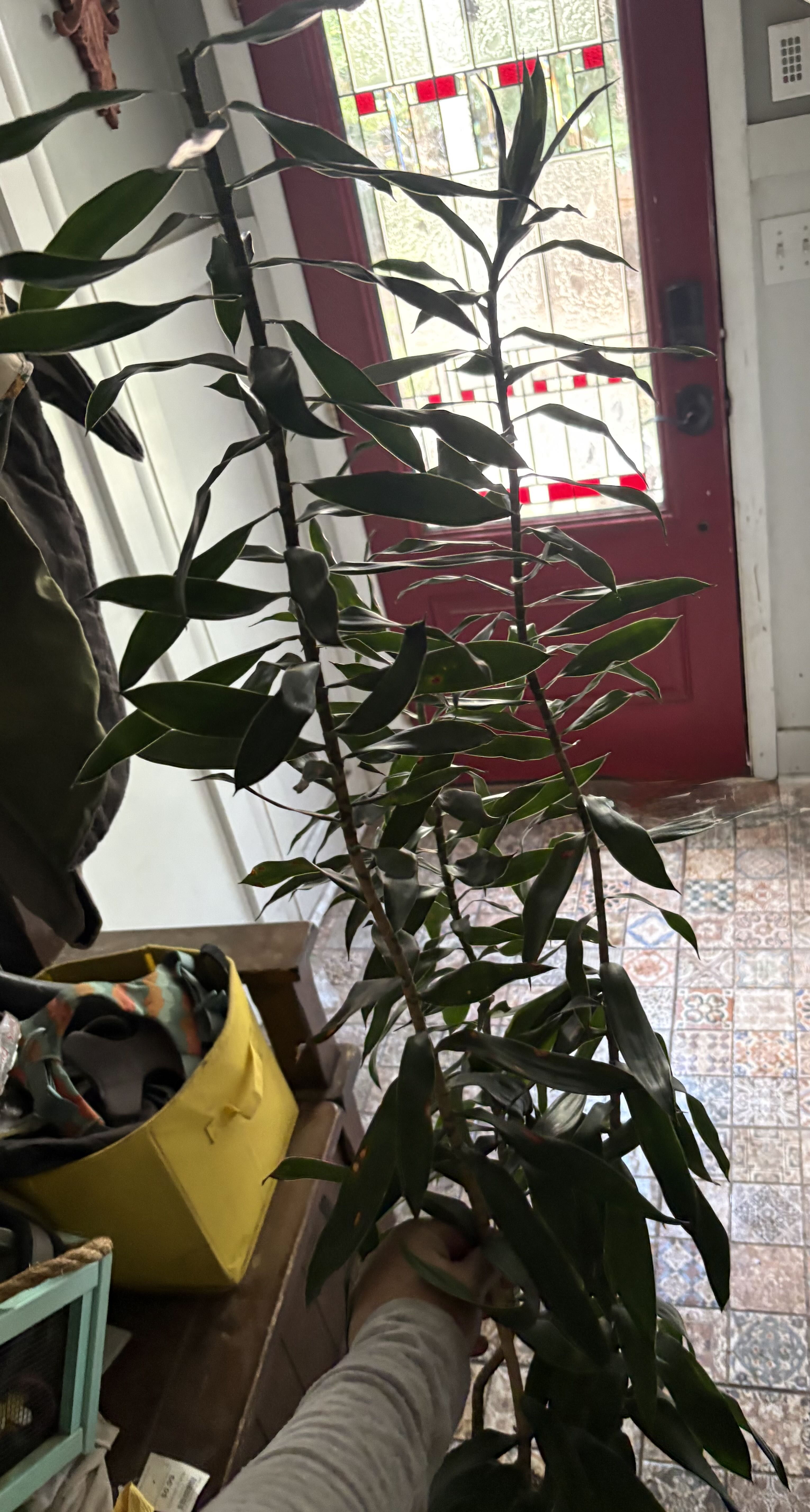 Photo from the post
