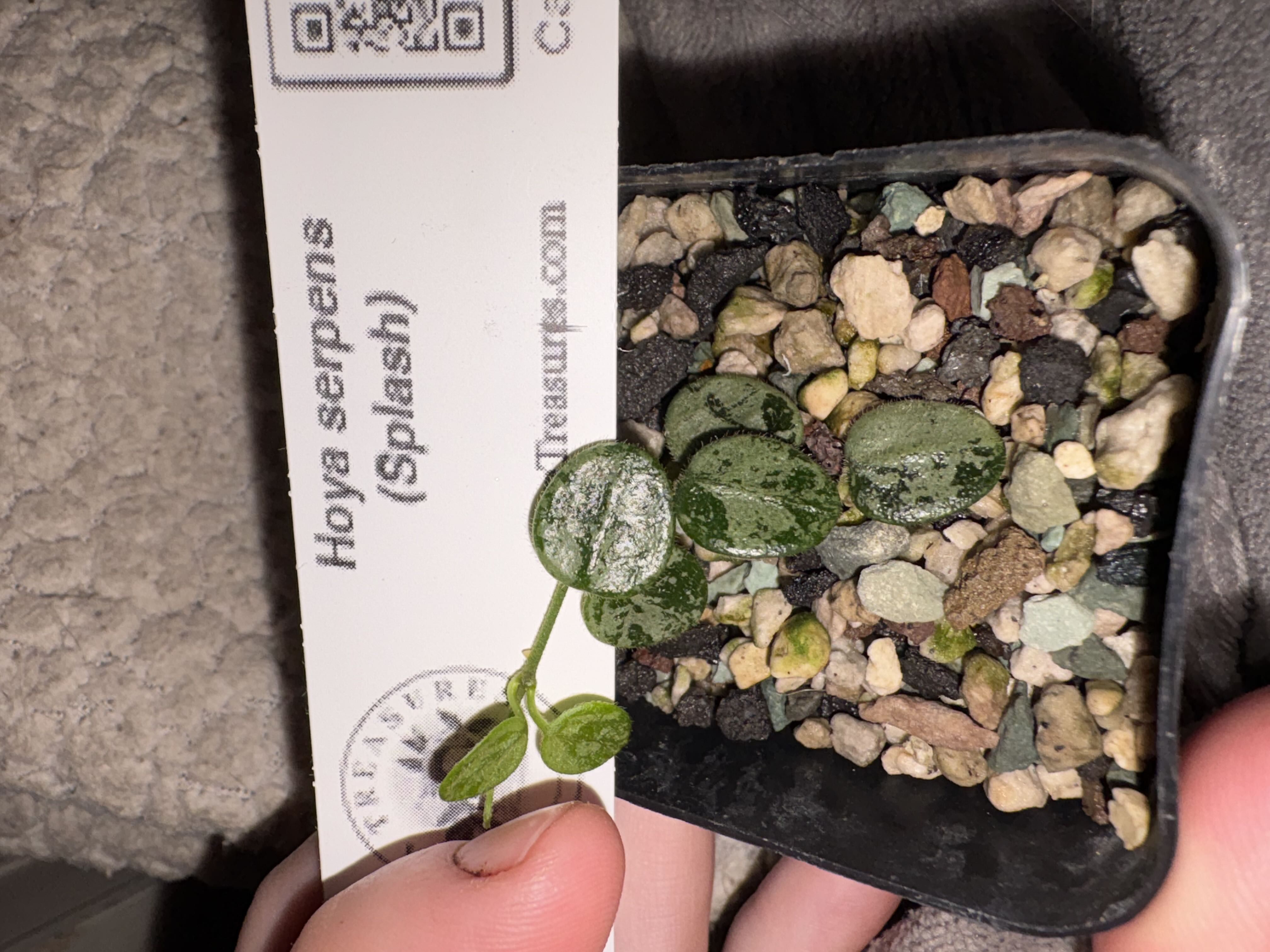 Photo from the post