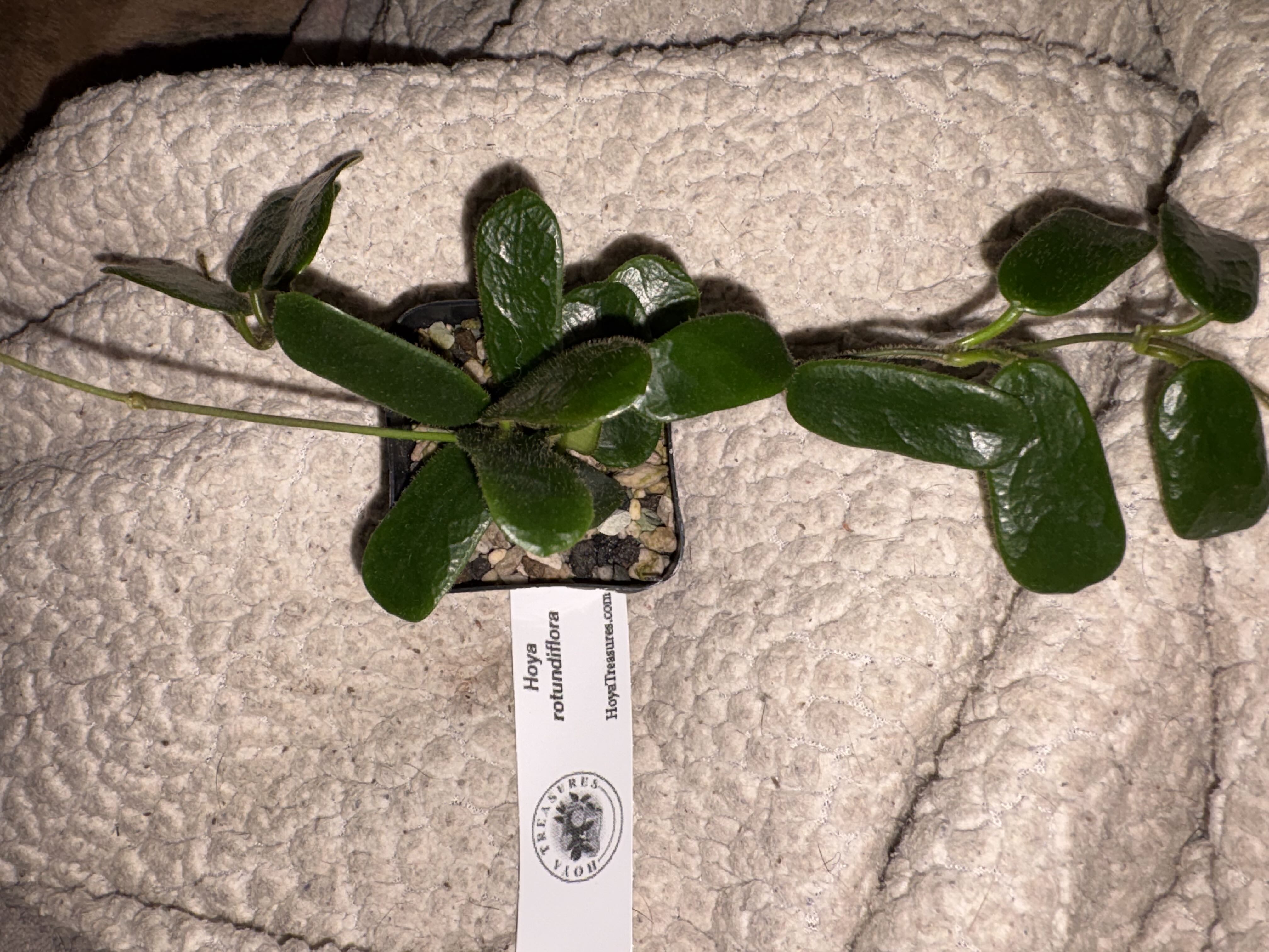 Photo from the post