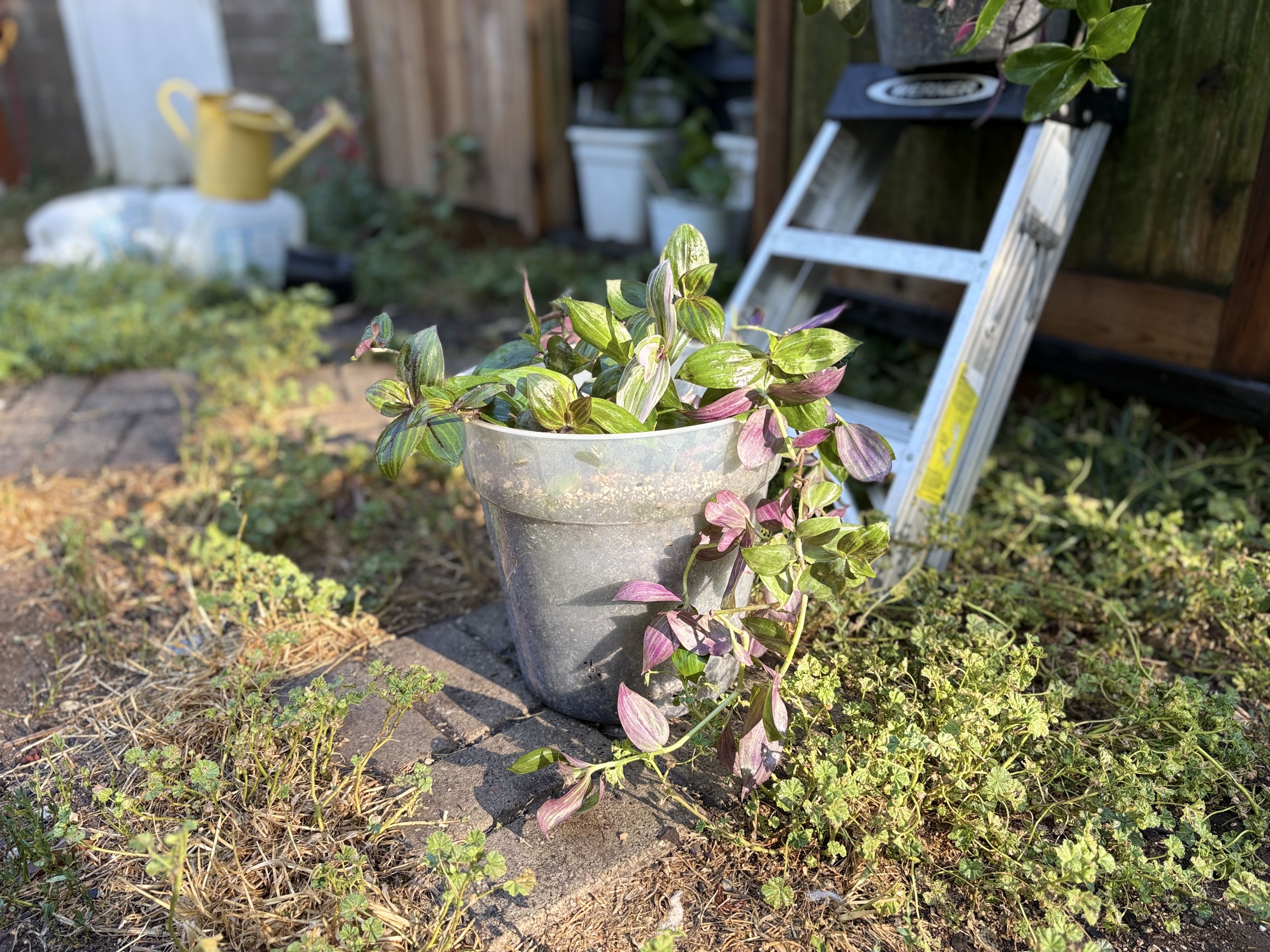 Photo from the post