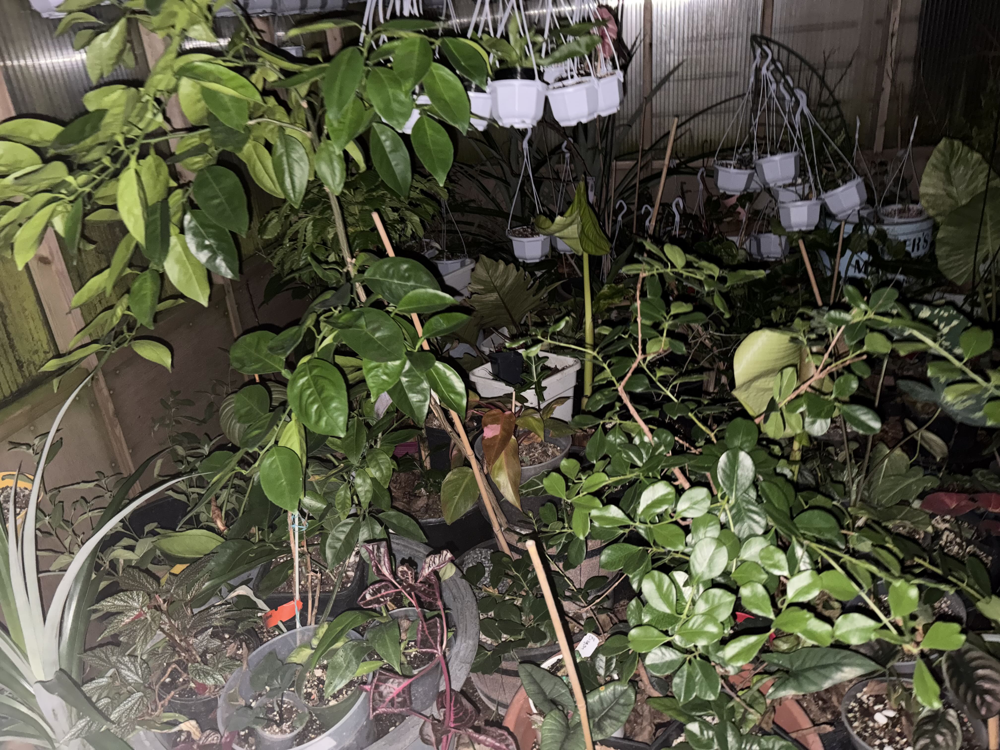 Photo from the post