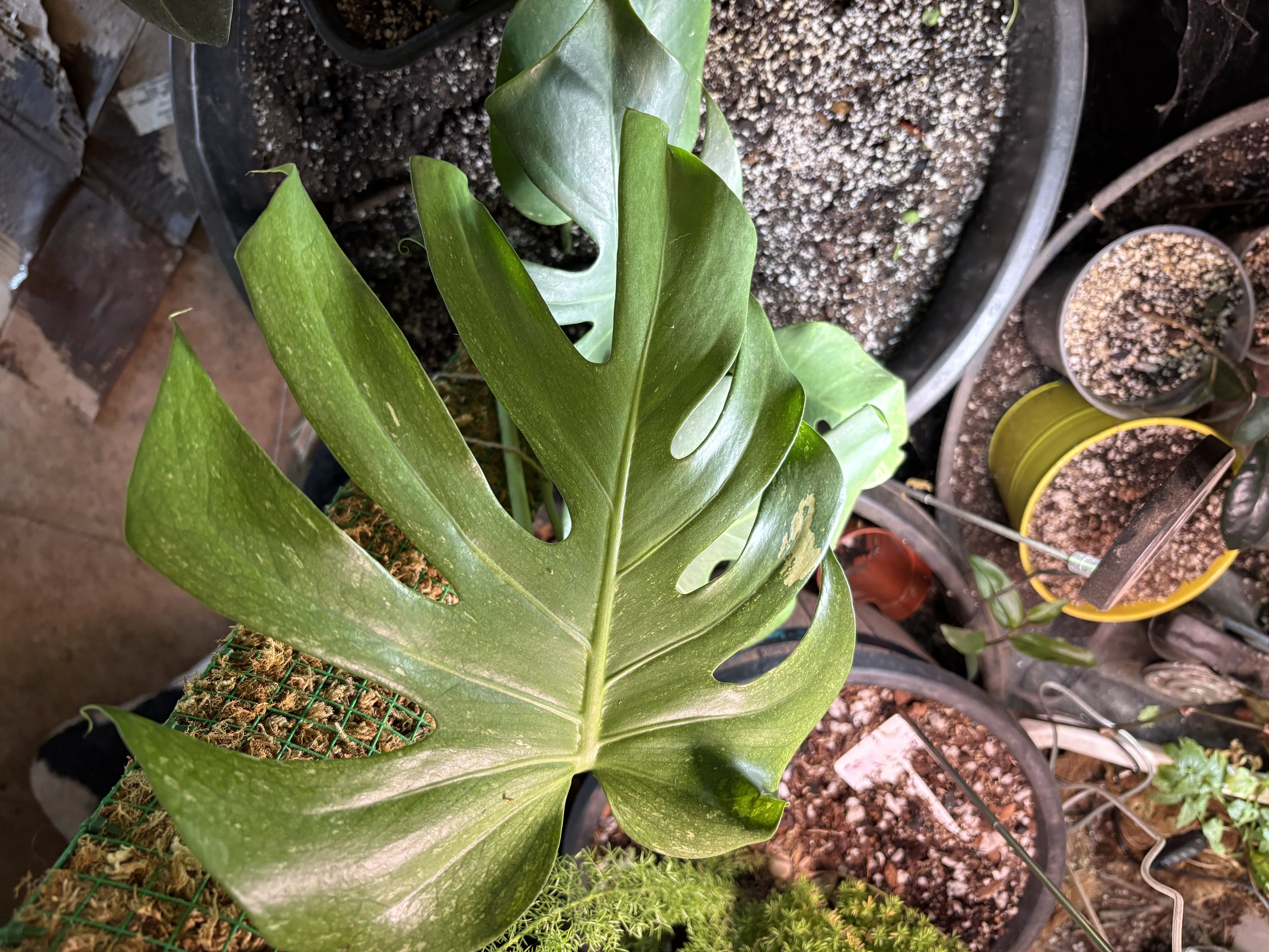 Photo from the post