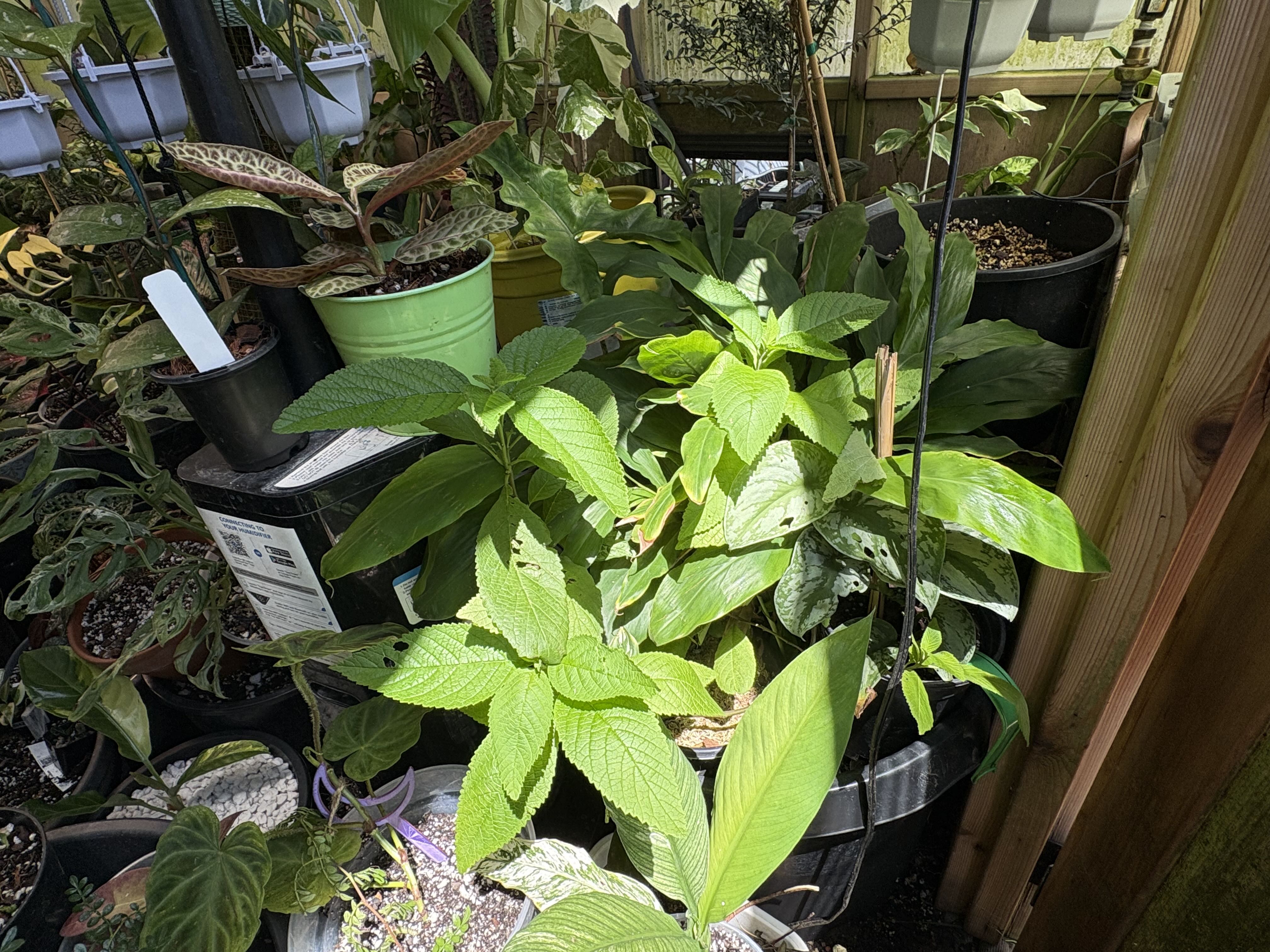 Photo from the post