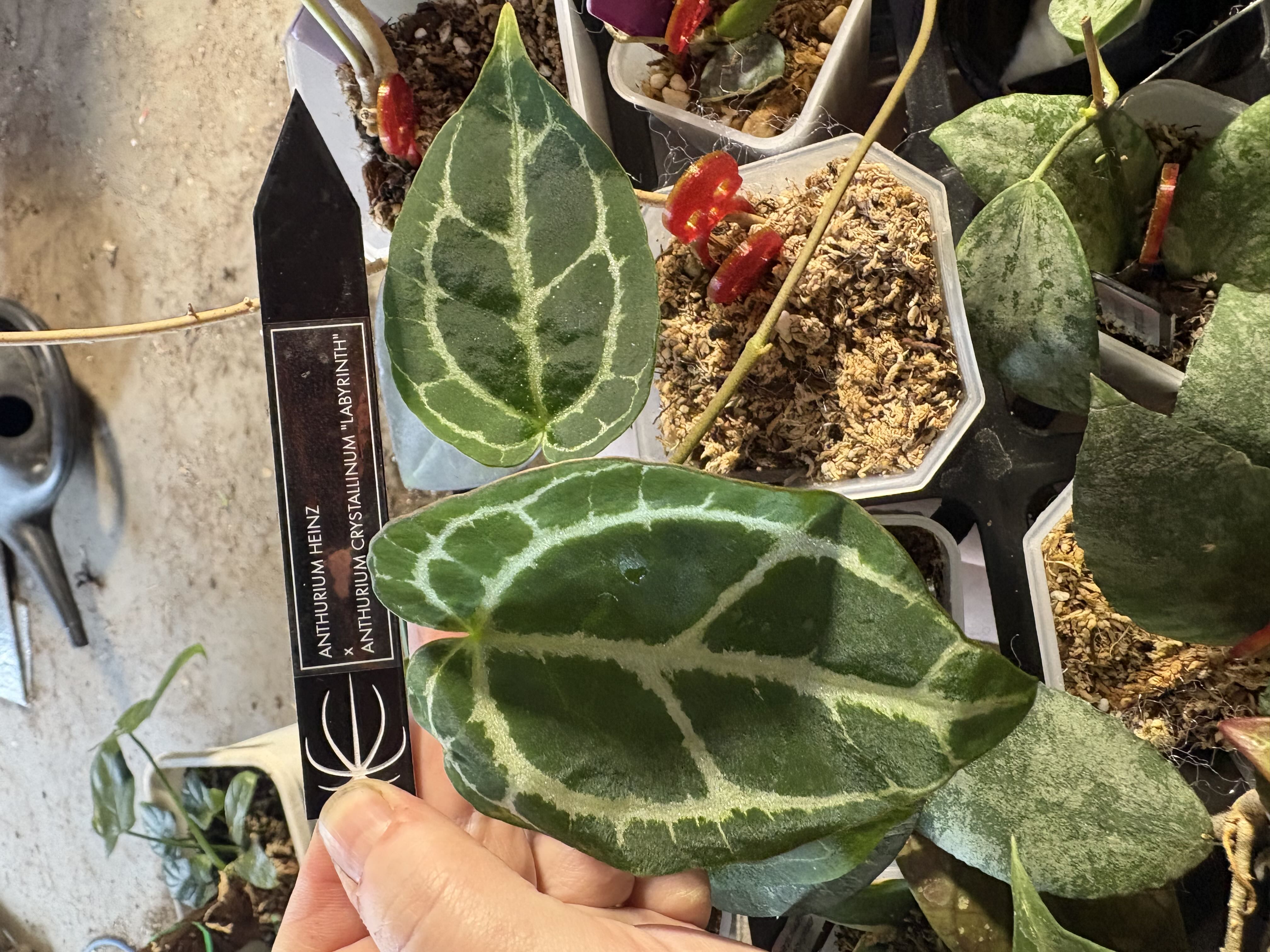 Photo from the post