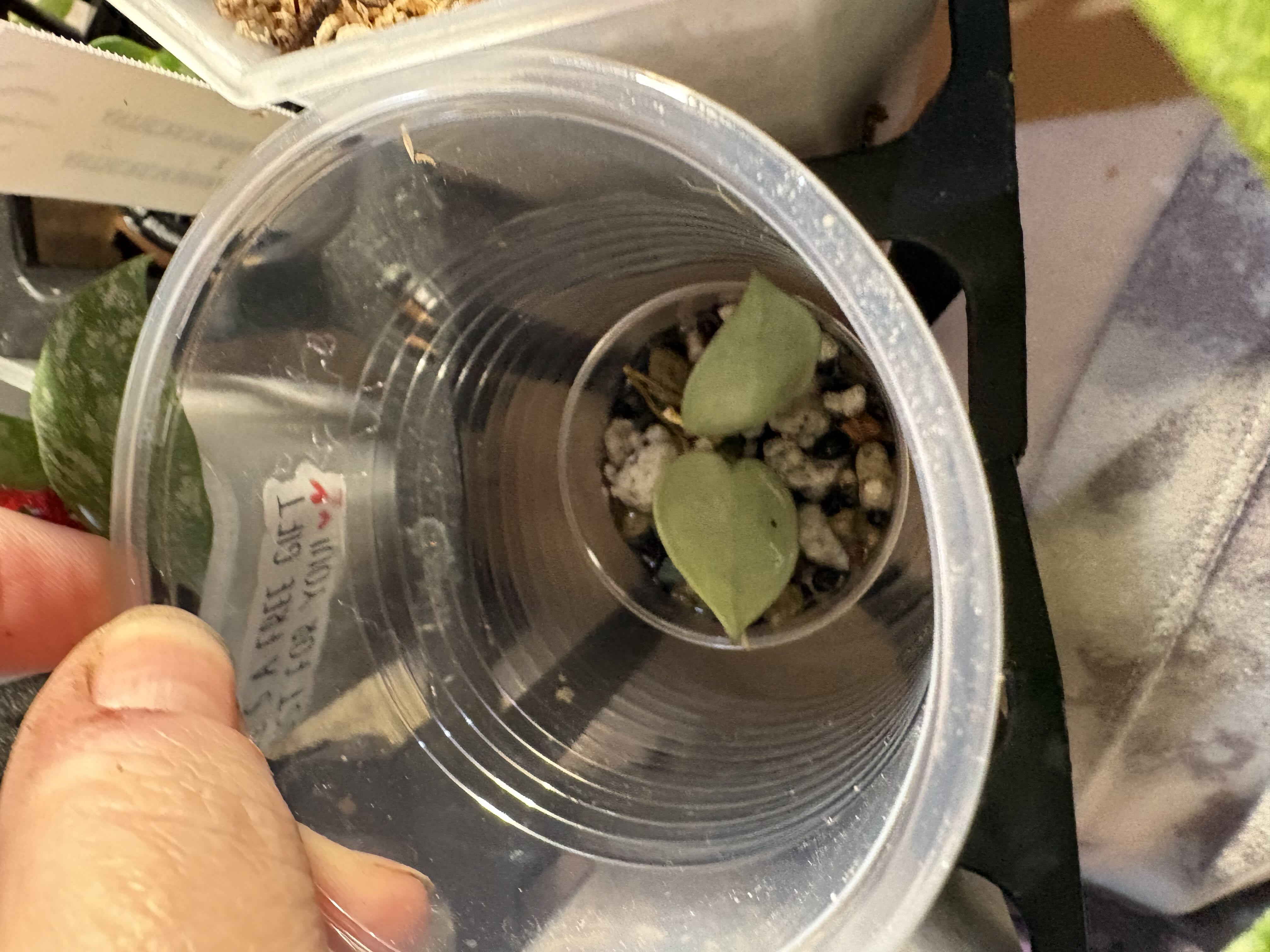 Photo from the post
