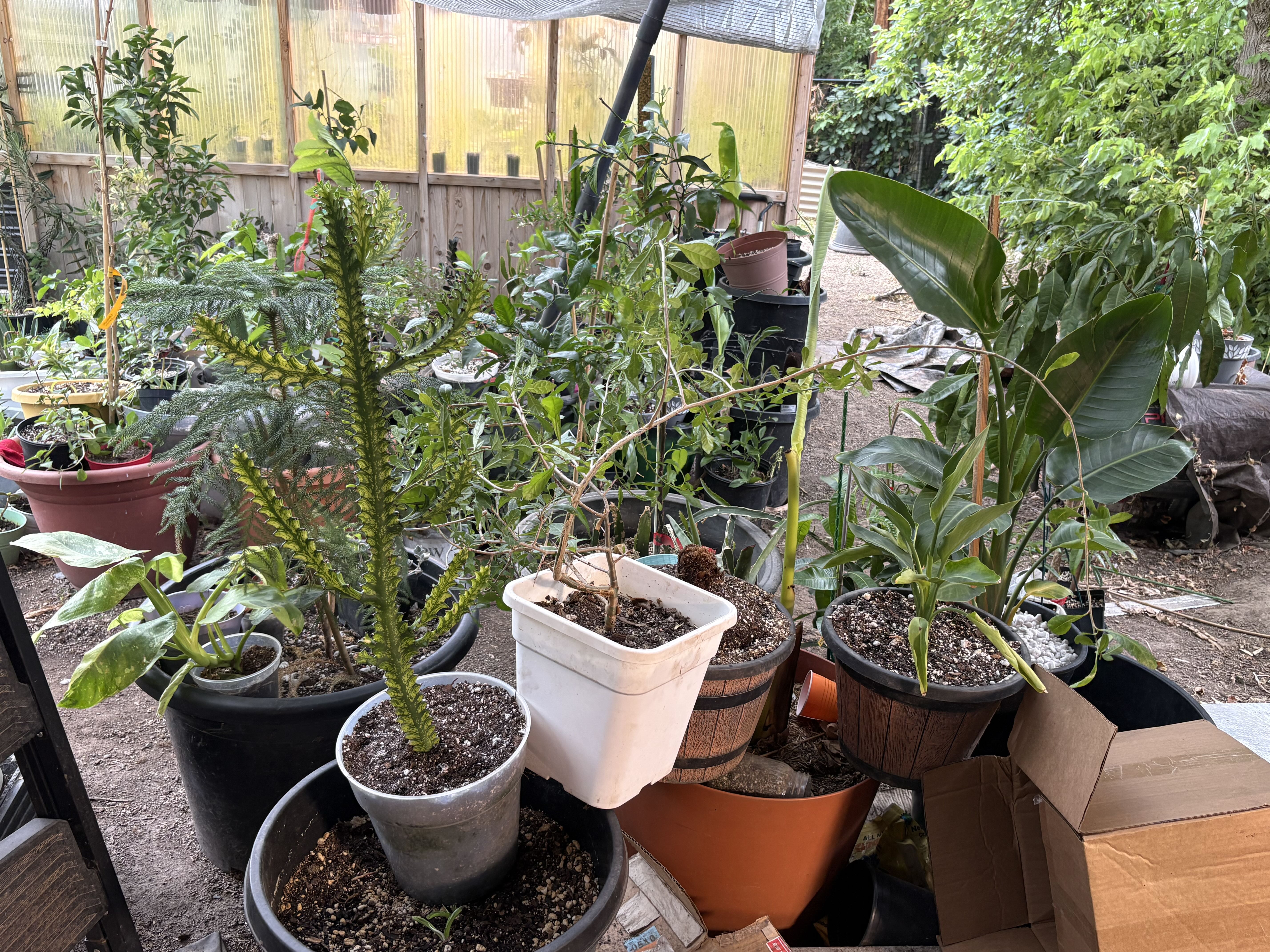 Photo from the post