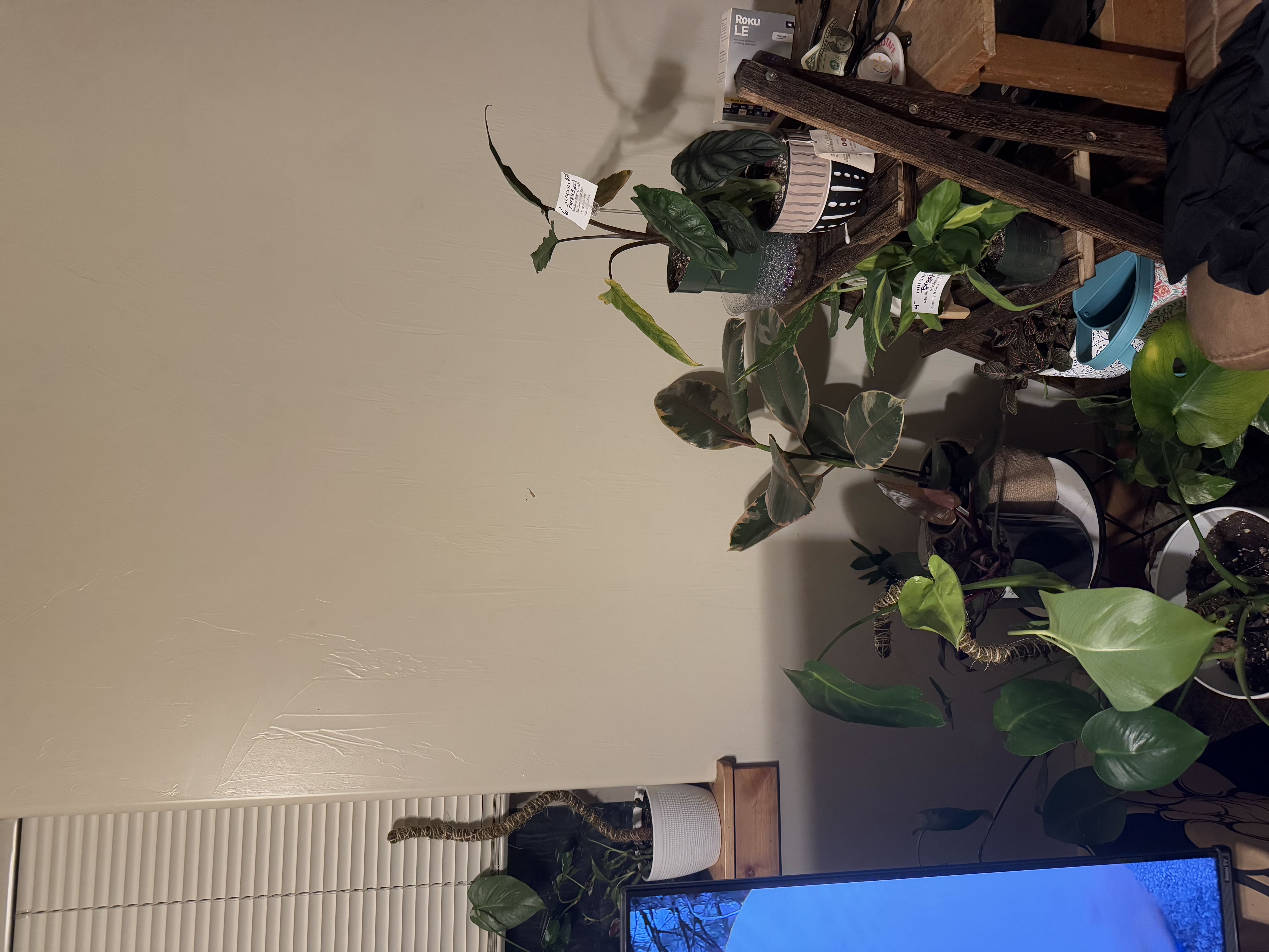 Photo from the post