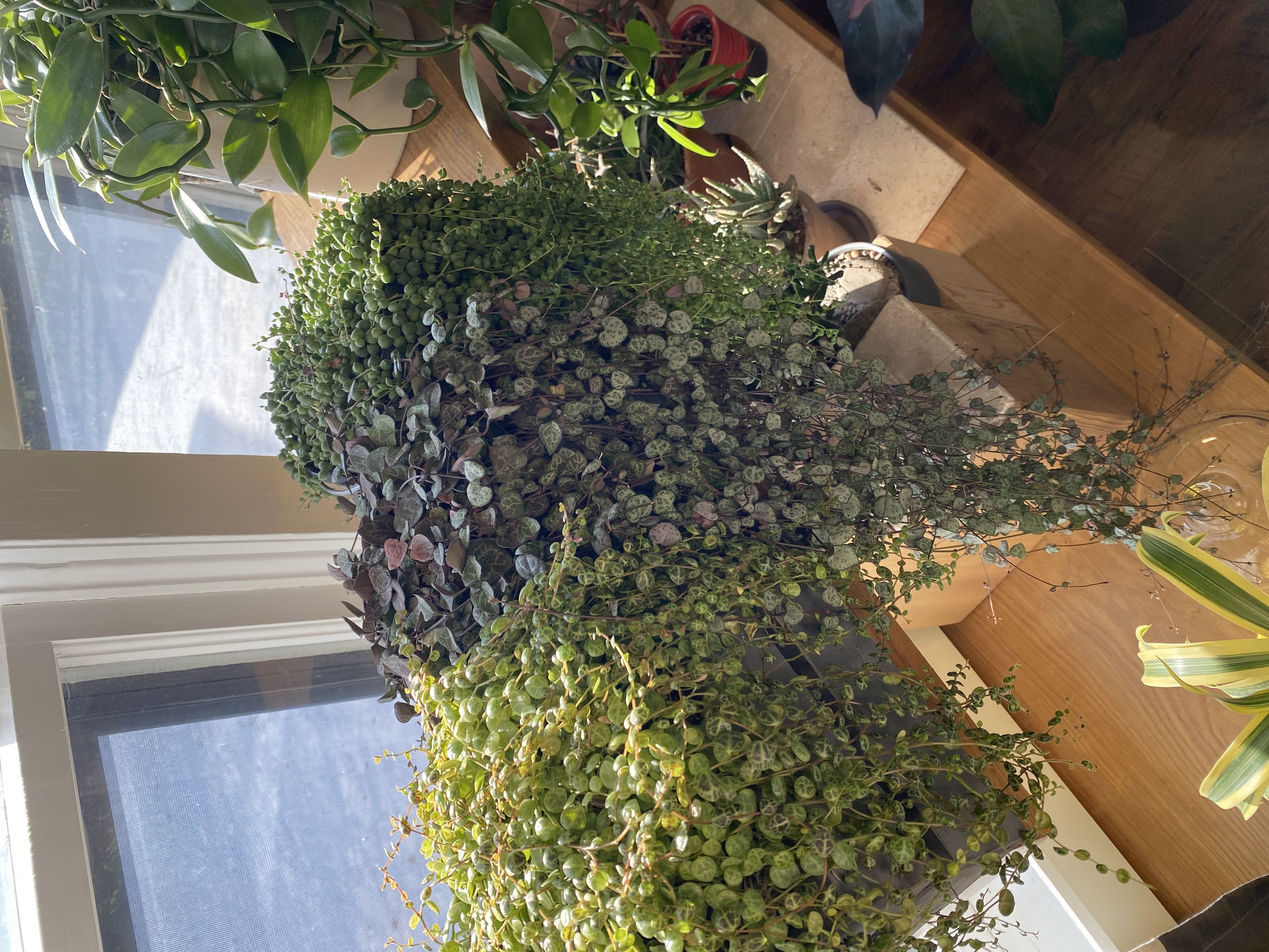 Photo from the post