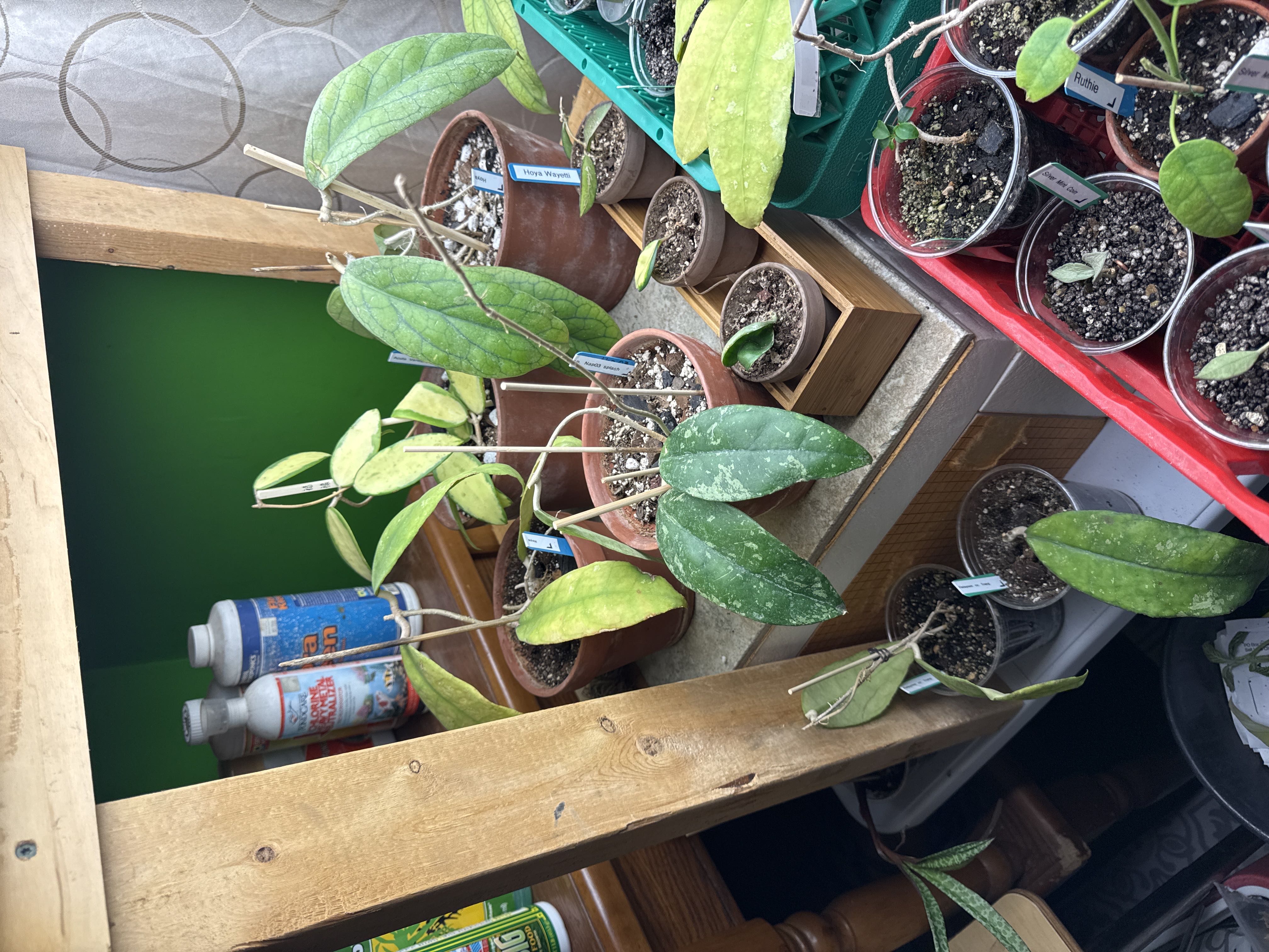 Photo from the post